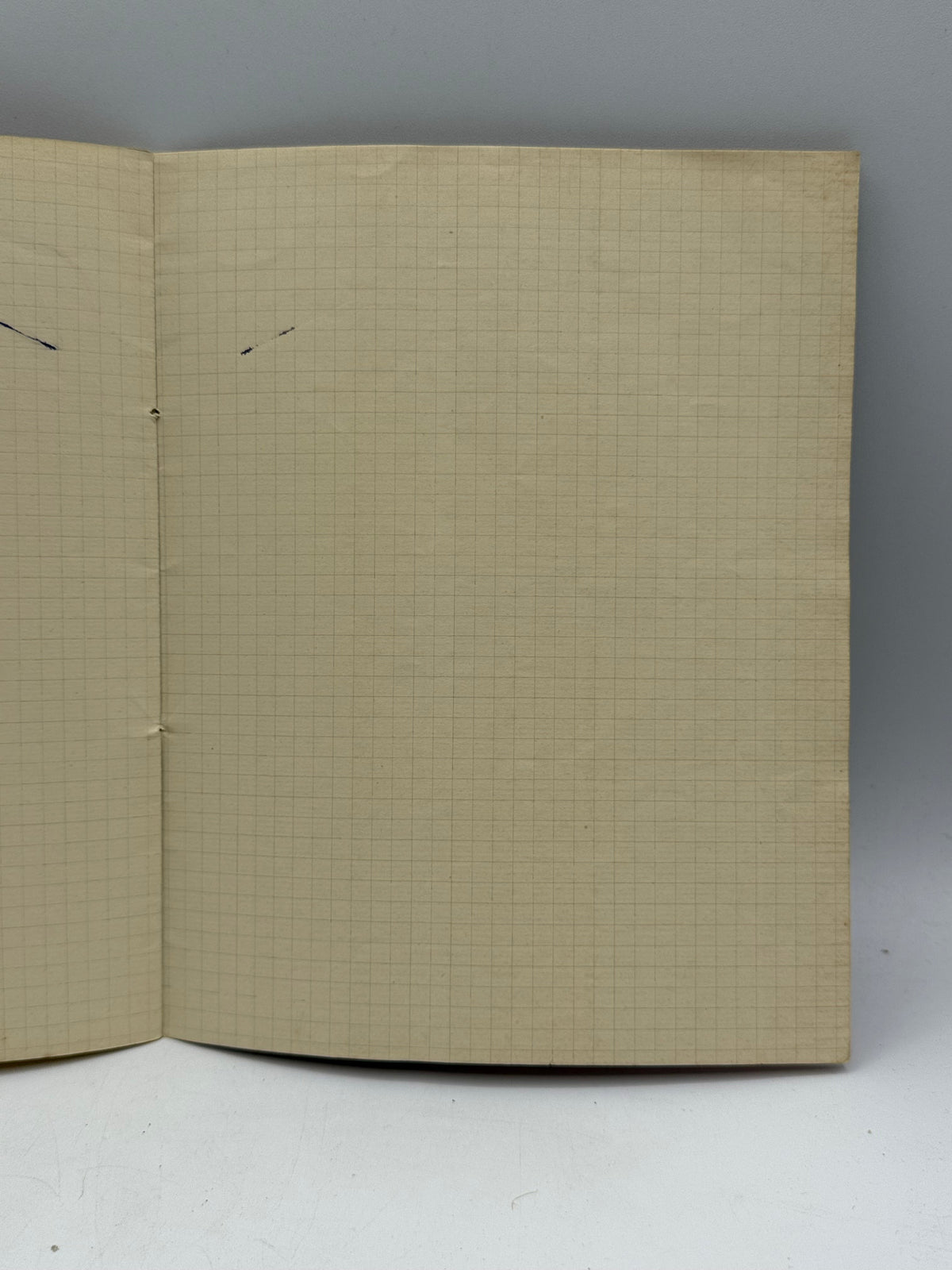 French Composition Notebook DSM Vintage
