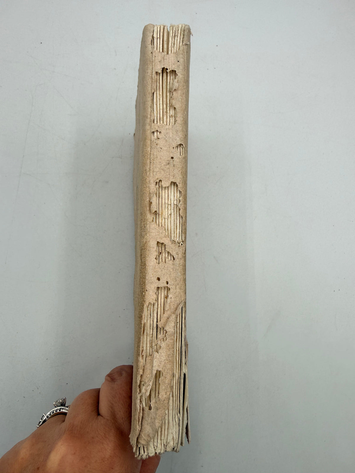 Topographical and Military Memorial, French, No 2 DSM Vintage