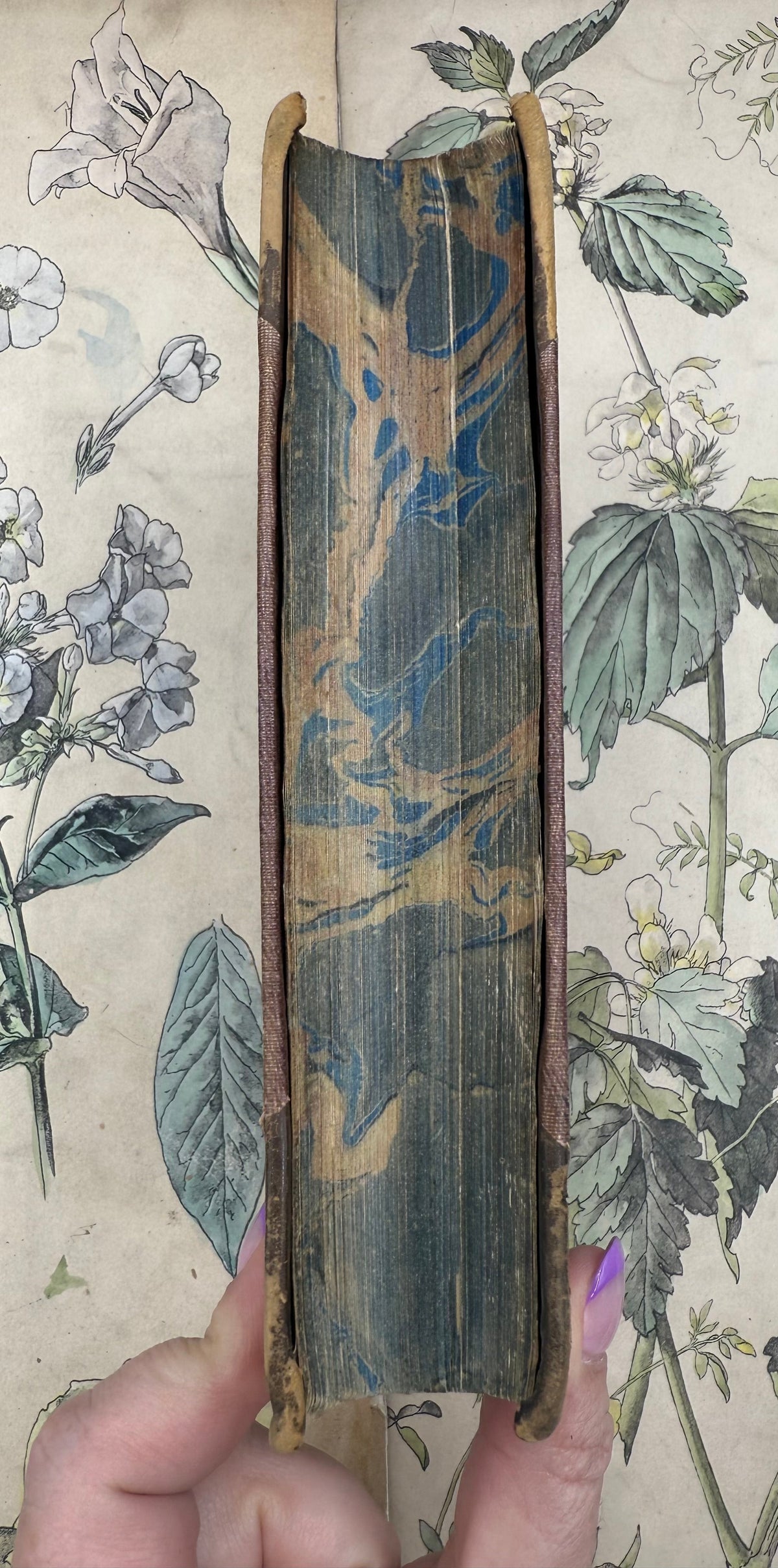 Homer’s Iliad, First Three Books, 1852 DSM Vintage
