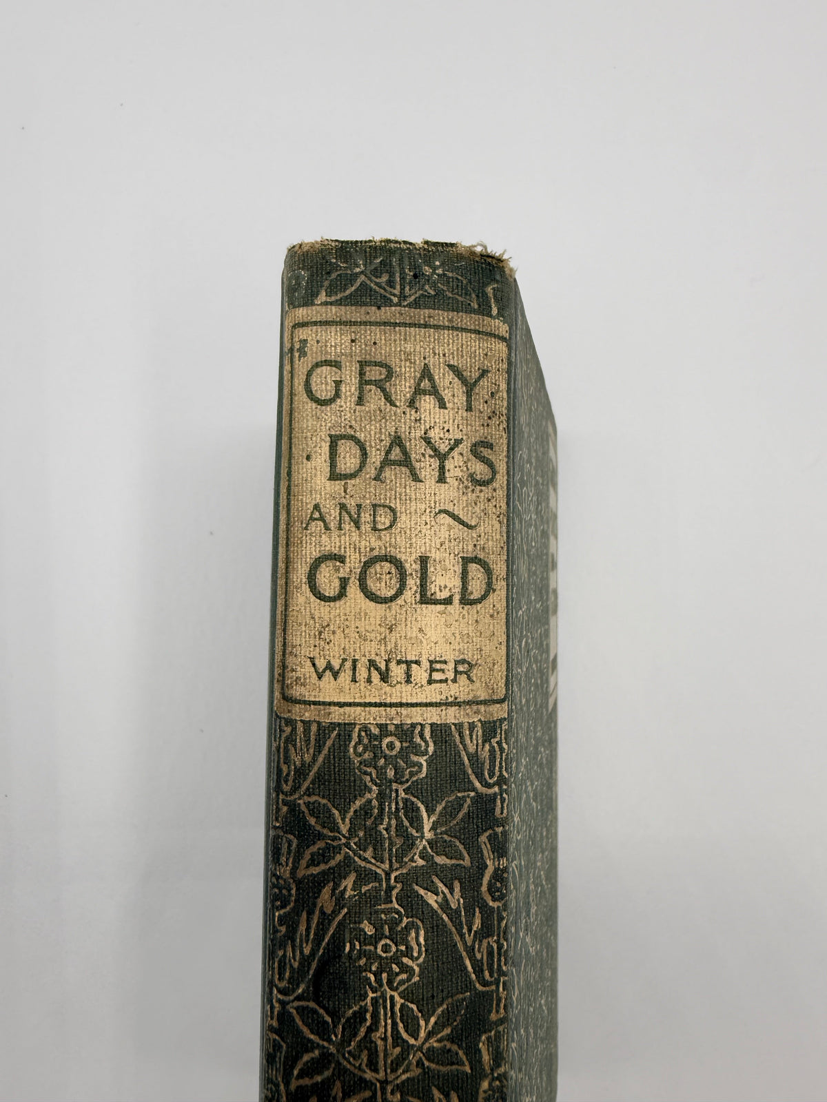 Gray Days and Gold in England & Scotland, 1897 DSM Vintage