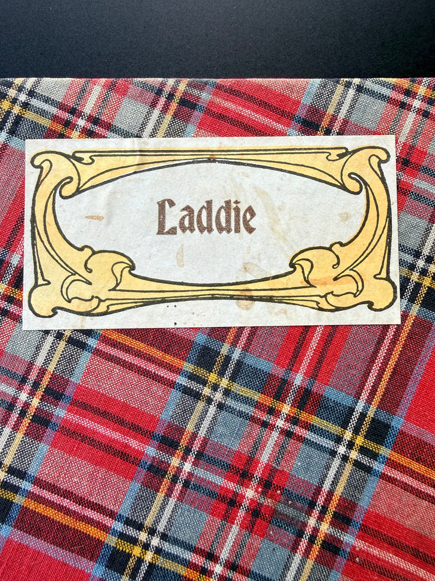 Laddie, Scottish Book Cover, 1897