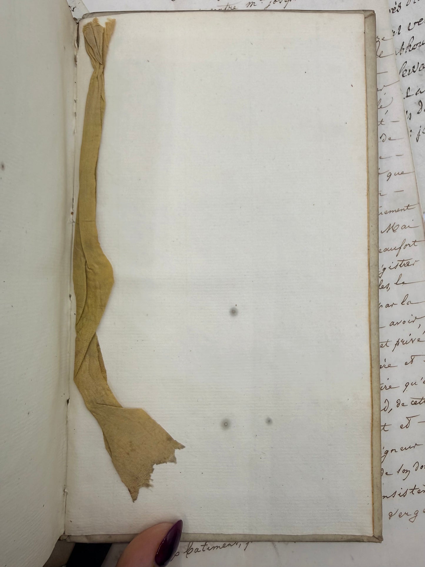 Aesop’s Fables, Vellum Binding, 1778, Latin DSM Vintage