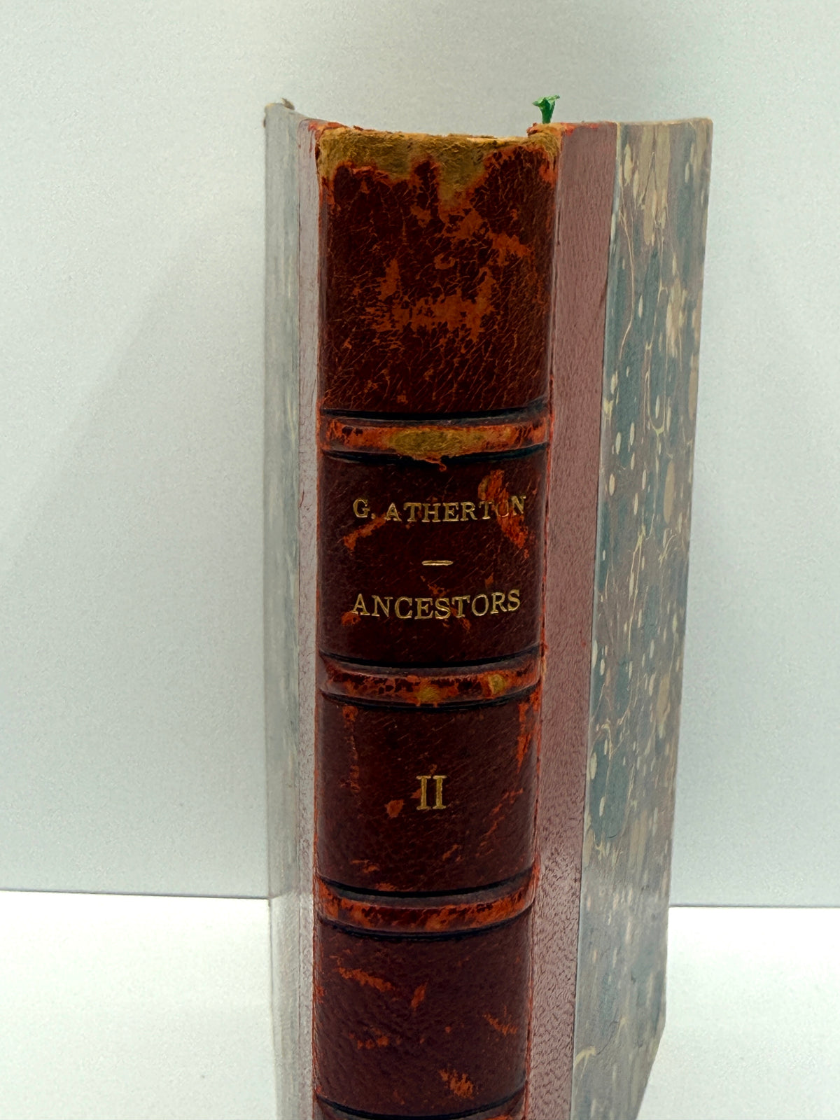 Ancestors by Gertrude Atherton, Vol 2