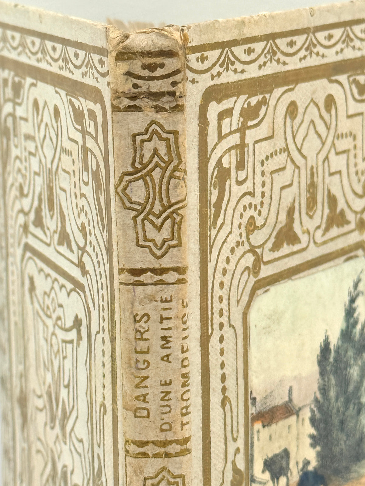 The Dangers of Deceptive Friendship, French Cartonnage Book