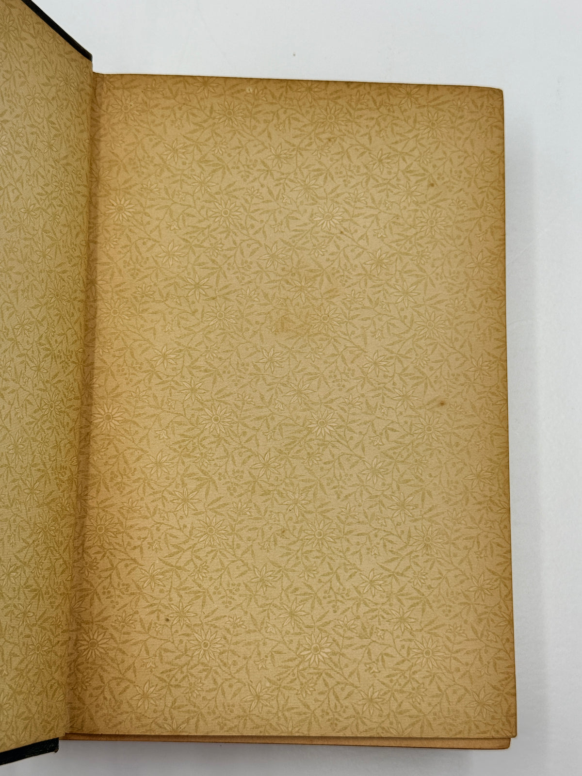The Poetical Works of Lord Macaulay, 1880's