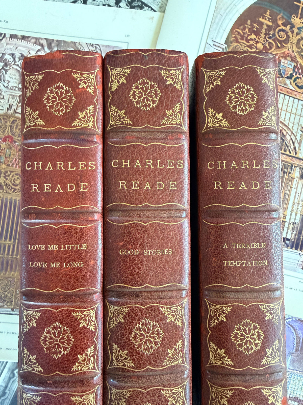 The Works of Charles Reade, Limited Edition Leather DSM Vintage