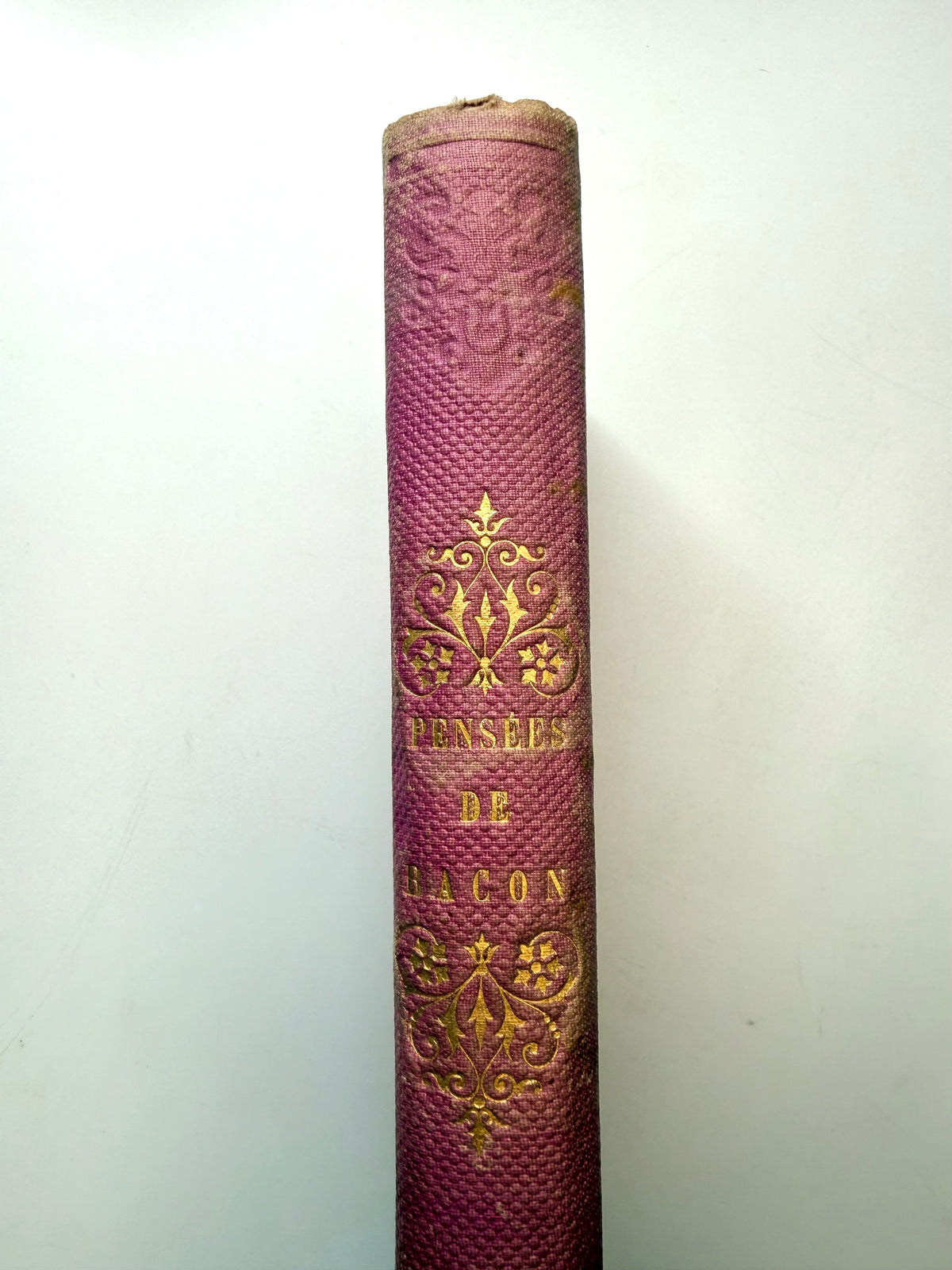 Thoughts of Bacon, Kepler, Newton and Euler, 1870, French Cartonnage Book DSM Vintage