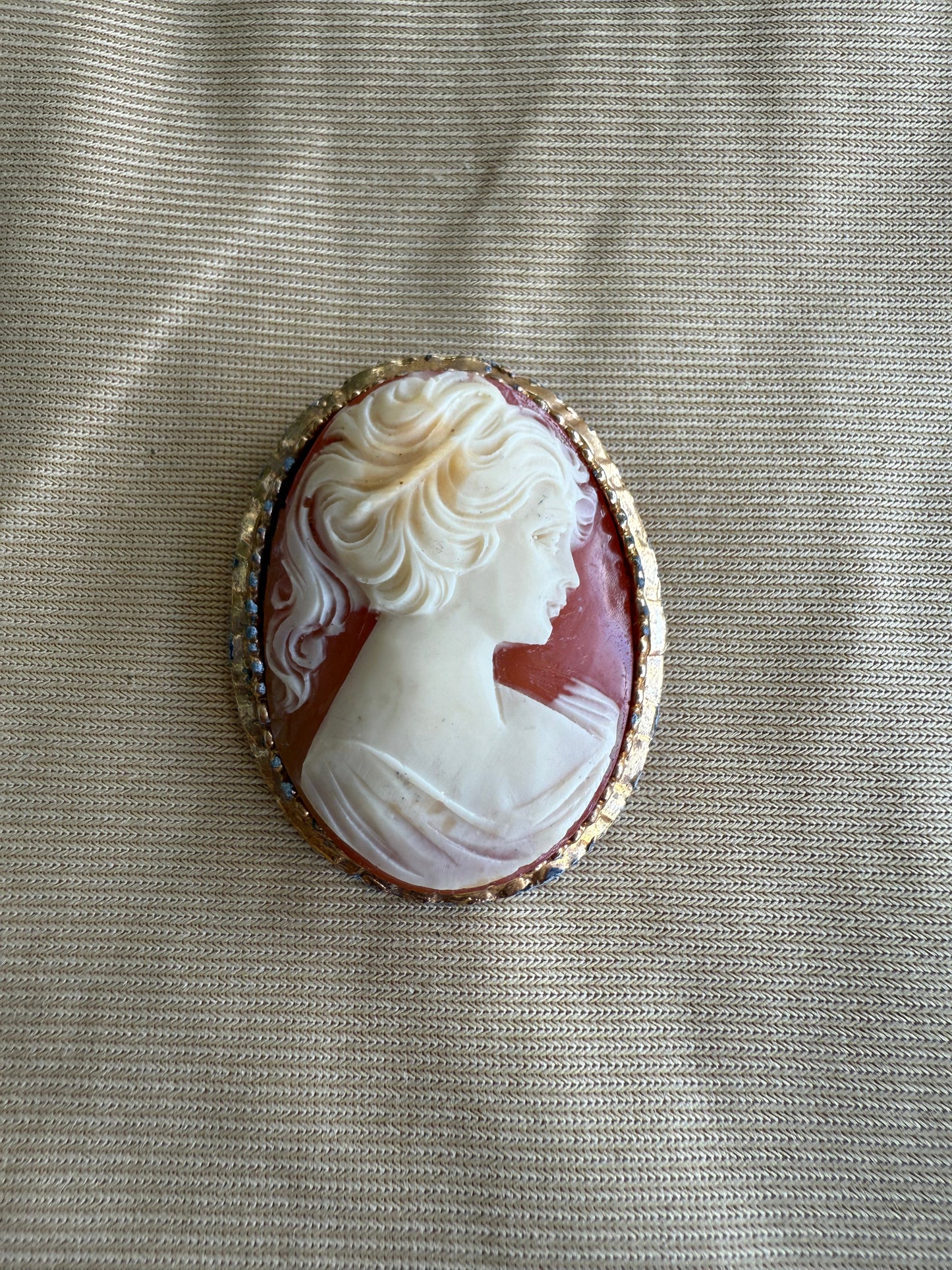 Vintage Cameo Brooch DSM Vintage