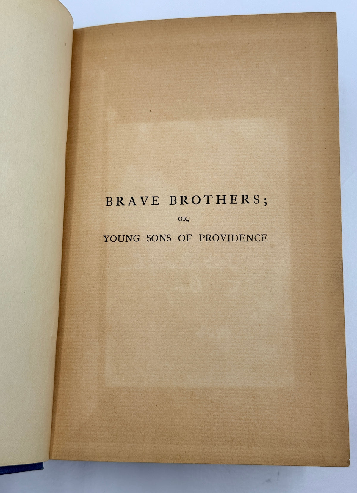 Brave Brothers by EM Stooke