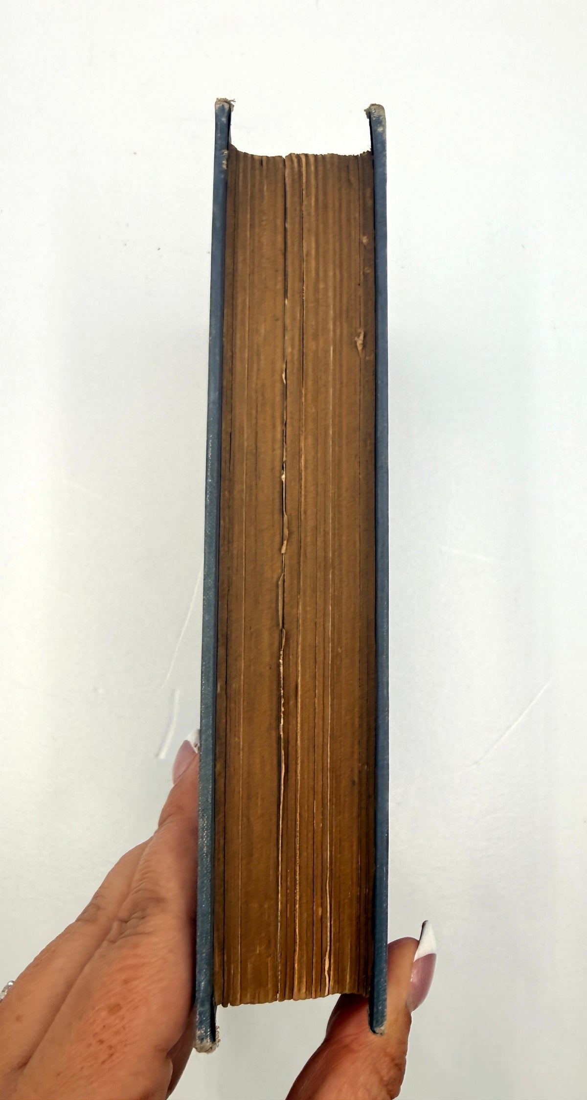 Life in Tangles by Agnes Giberne, Decorative English Binding