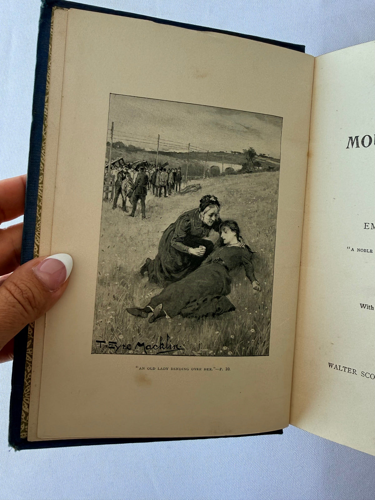 A Mountain Daisy, Decorative Antique Book DSM Vintage