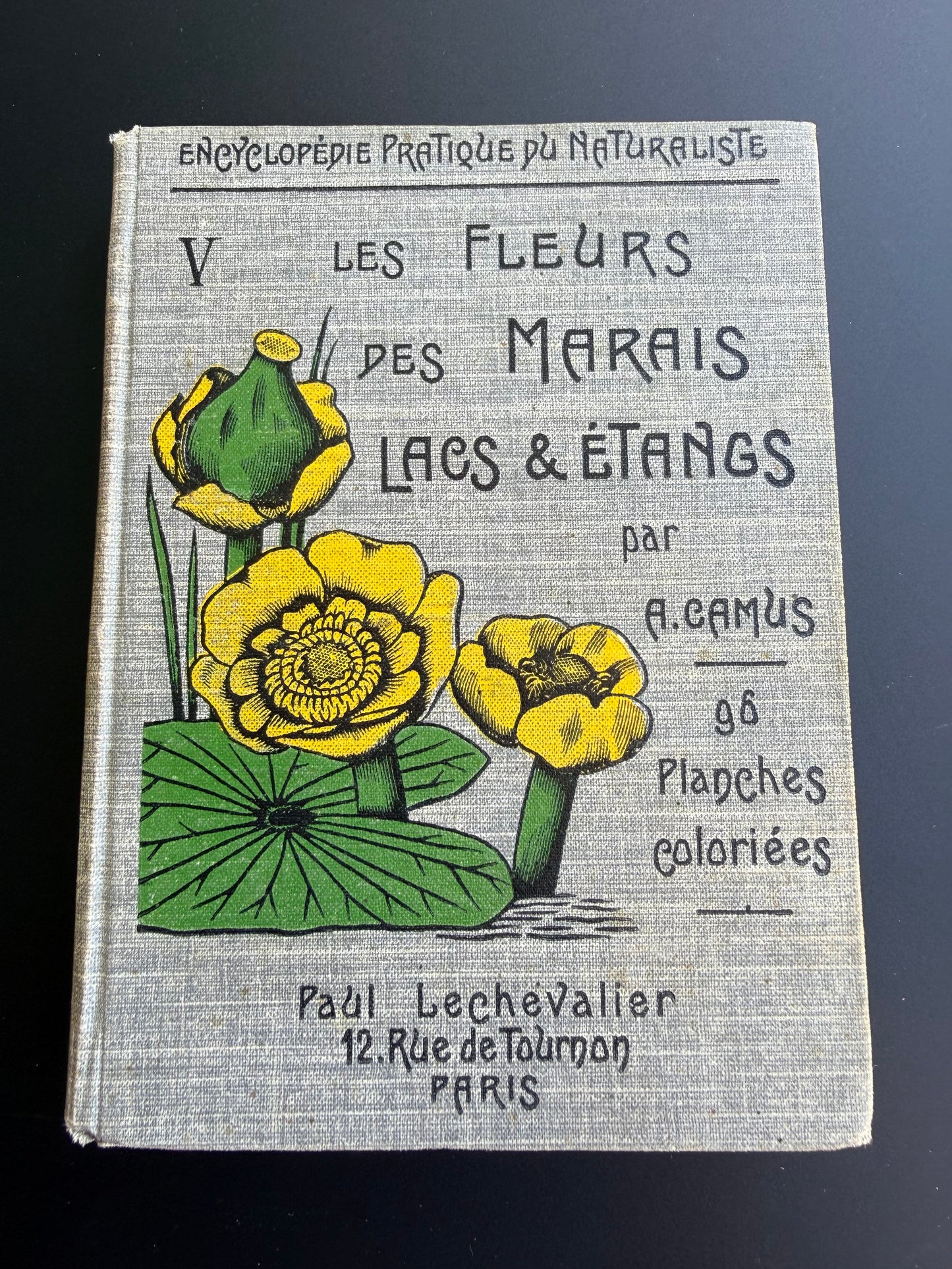 Marsh, Lake & Pond Flowers, French, 1921