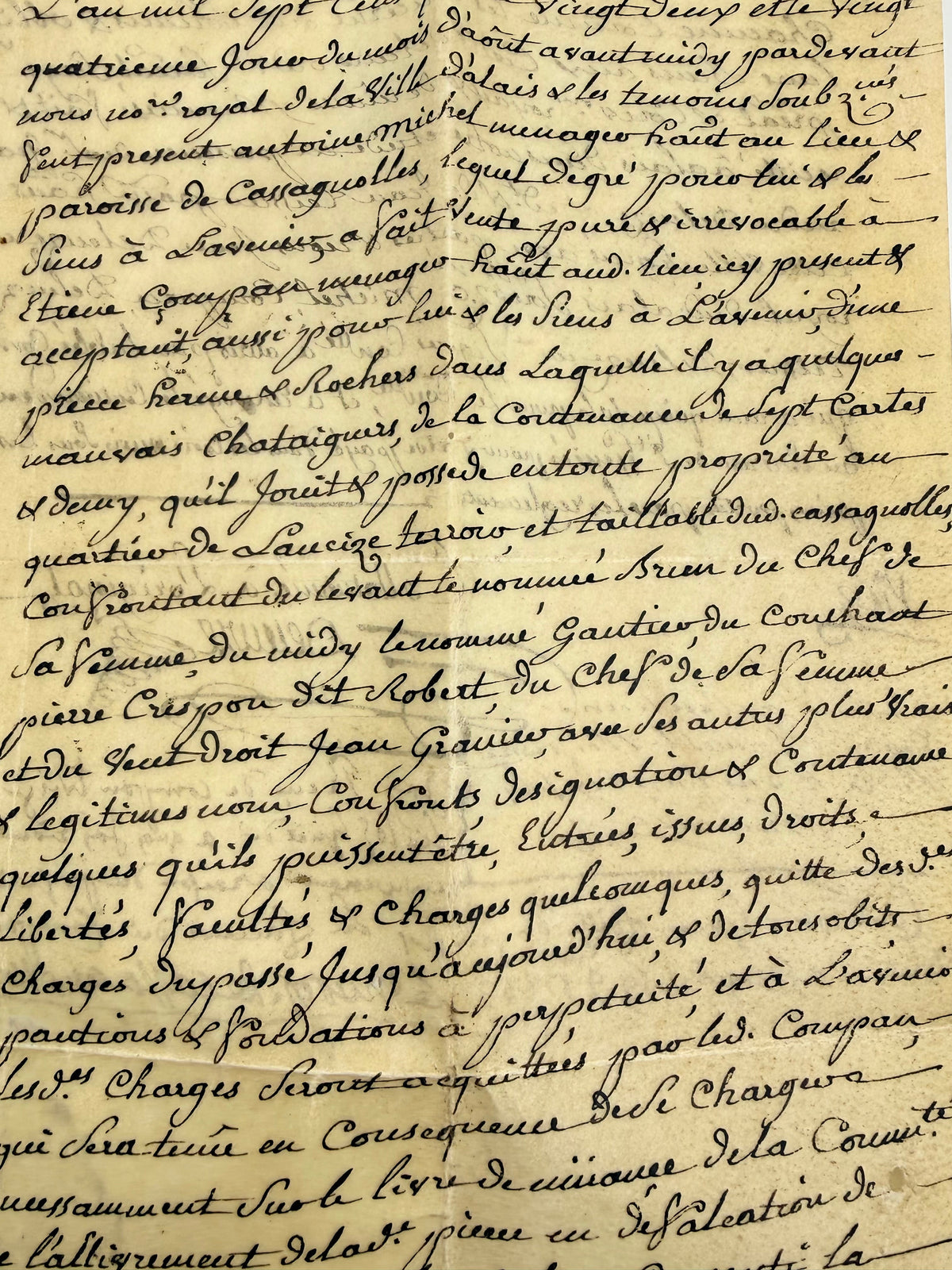 French Handwritten Document on Vellum Paper, 1790 DSM Vintage