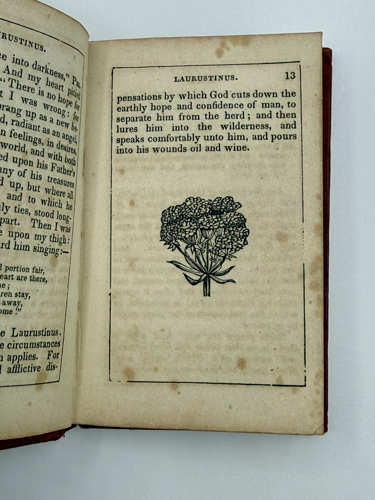 Thoughts Among Flowers, Small Book, 1853