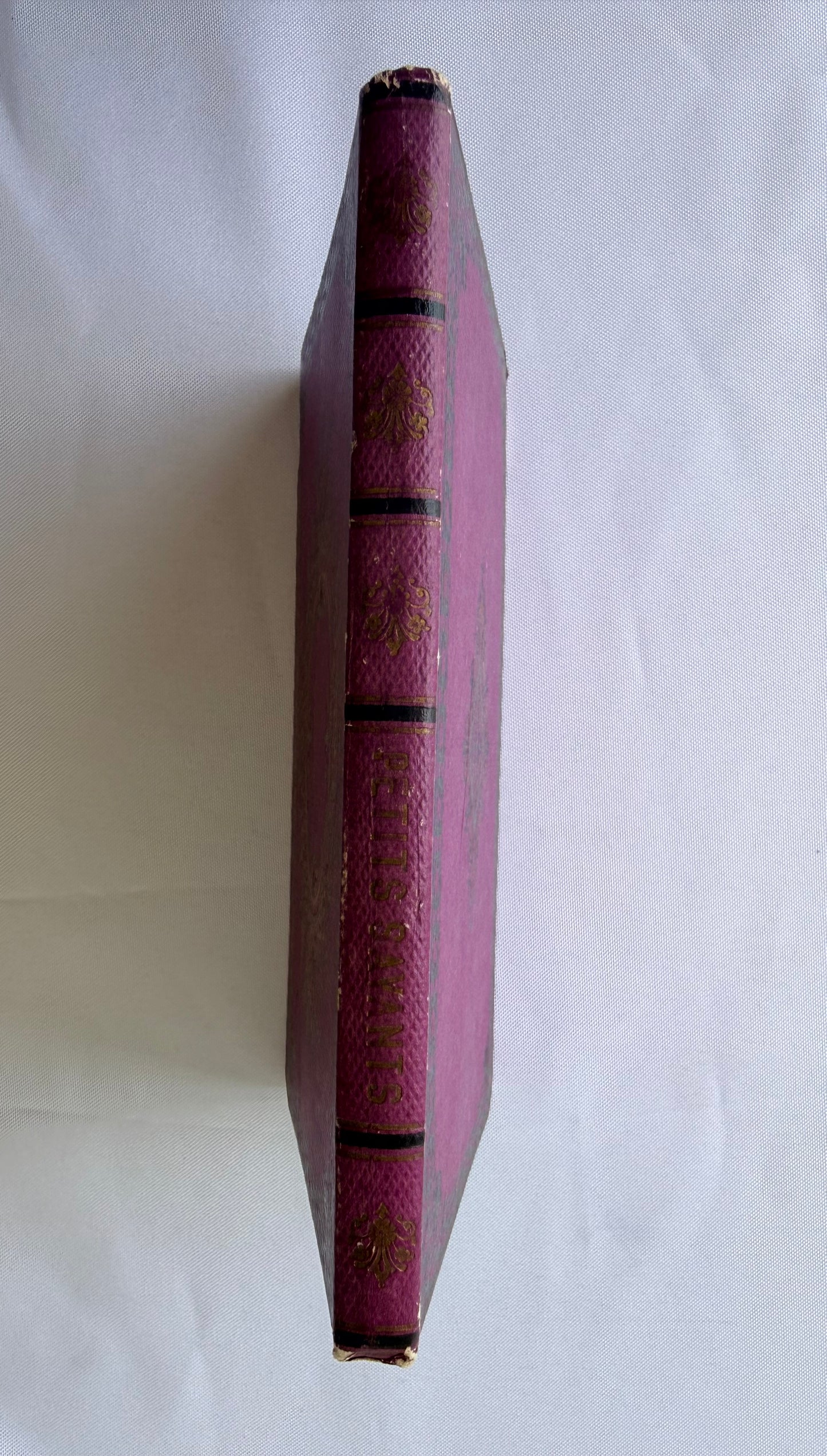 Purple French Cartonnage Book, Les Petits Savants