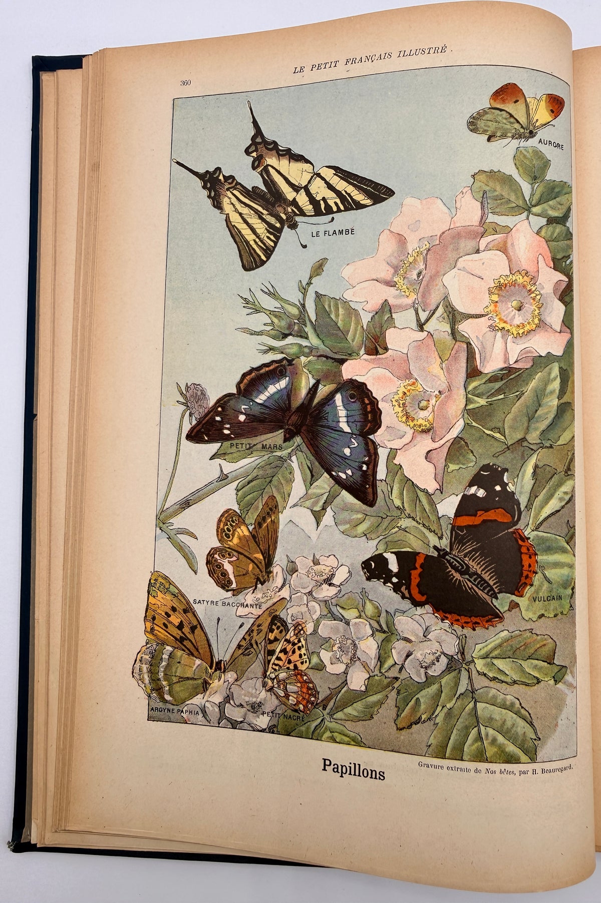 Les Petit Francais Illustraé Journal, 1902, Antique French Journal Collection