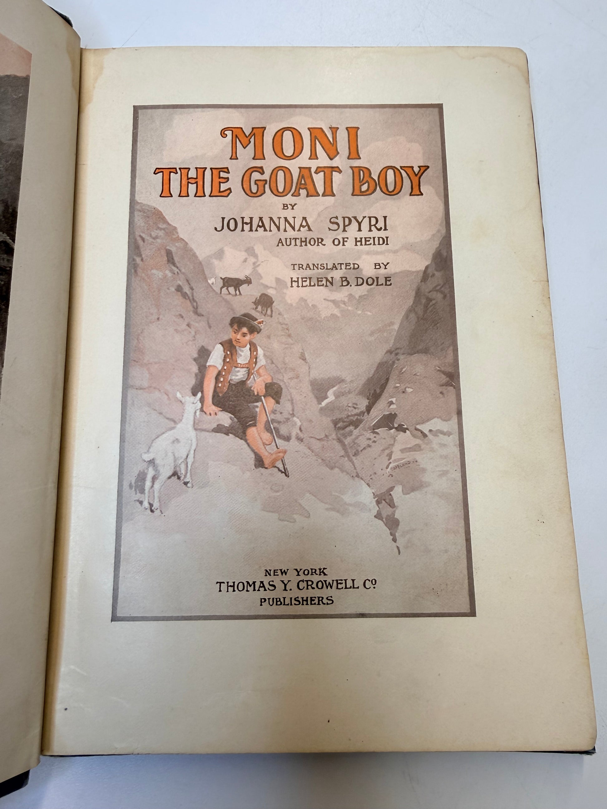Book titled 'The Goat Boy' by Johanna Spyri with a cover illustration on a white background