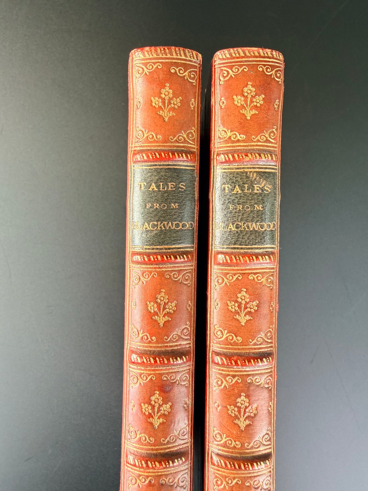 Tales from Blackwood, Blackwood Magazine Short Stories, Edinburgh, 1880