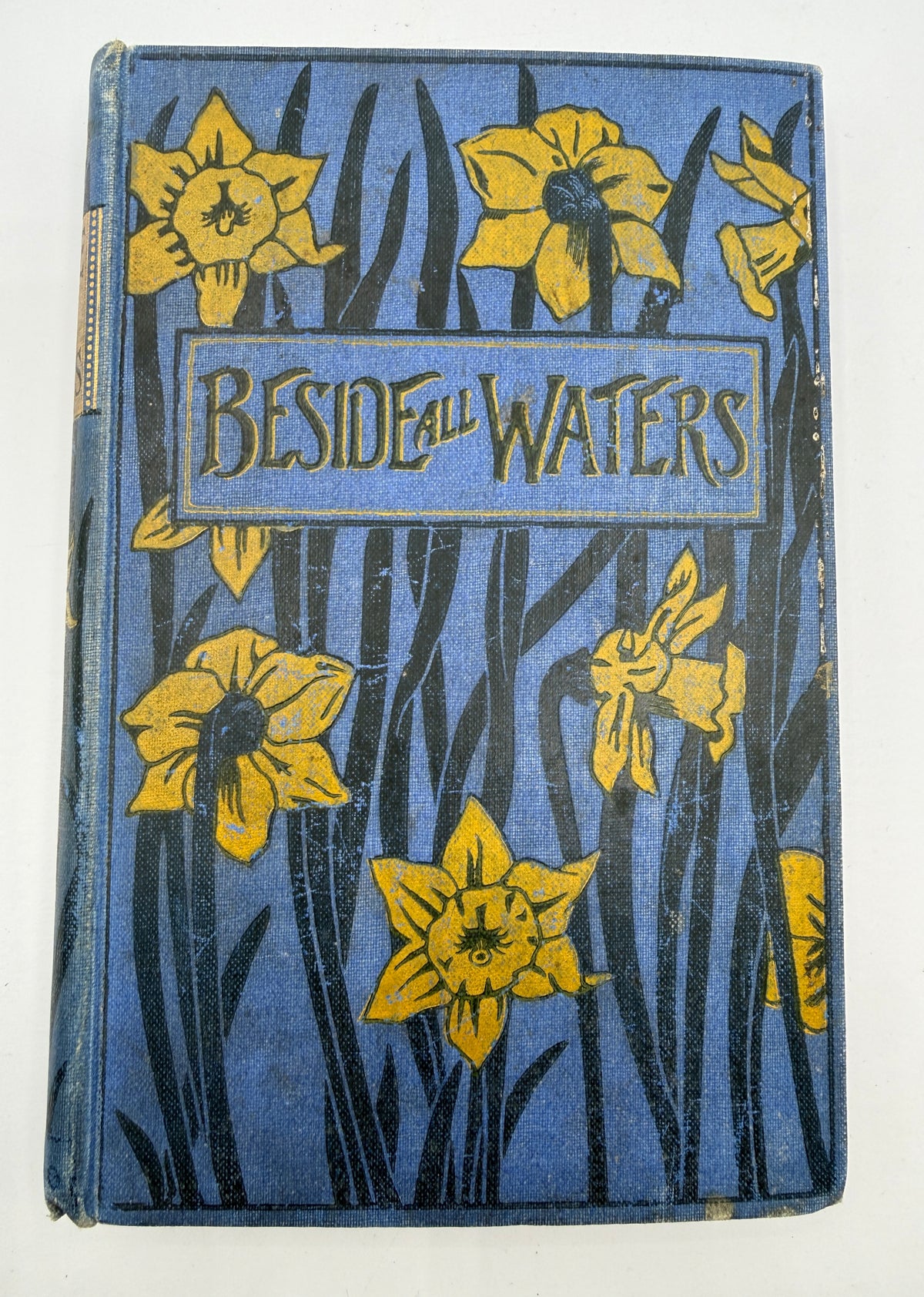 Beside All Waters by M L Astree