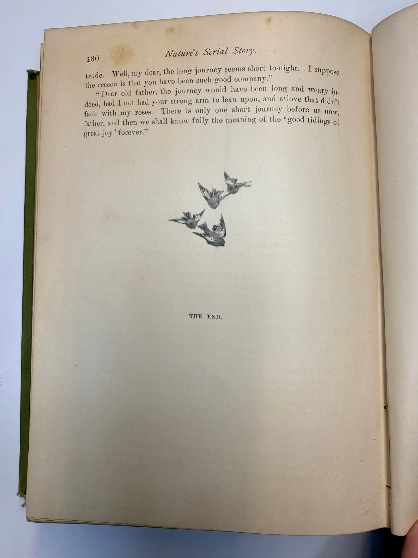 Nature’s Serial Story, 1885