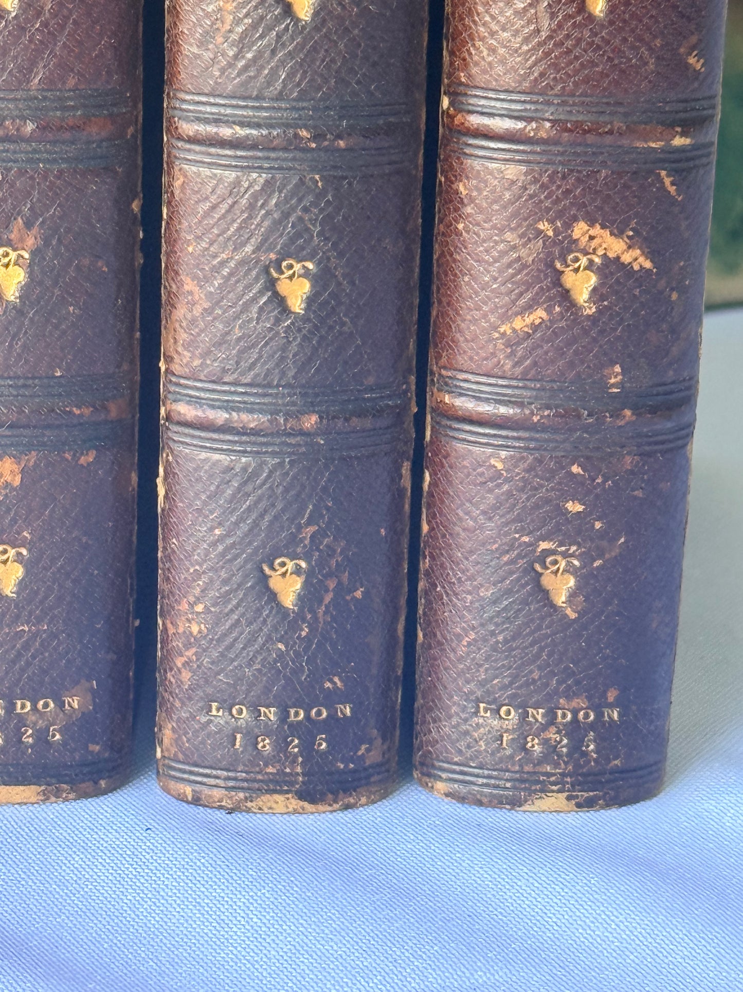 The Faerie Queen & Others, Edmund Spenser’s Works, 1825