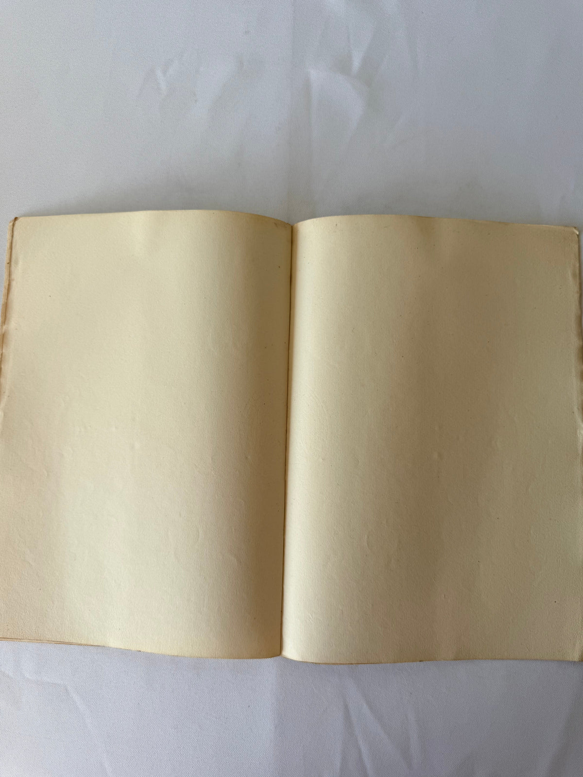 French Publication of Marriage, 1856, Saint Marcellin DSM Vintage