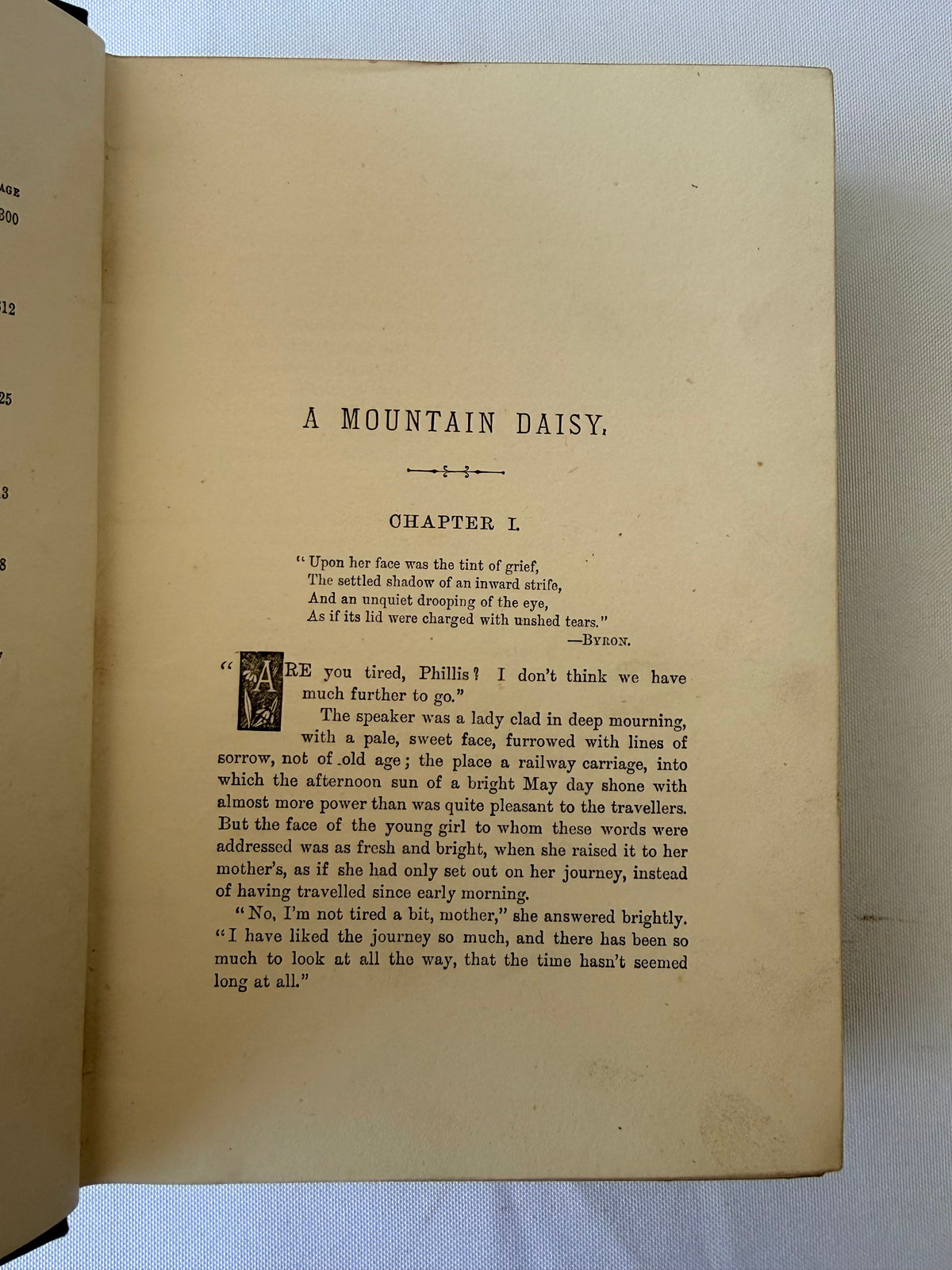A Mountain Daisy, Decorative Antique Book DSM Vintage