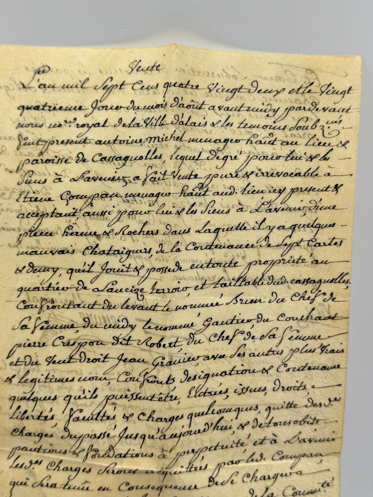 French Handwritten Document on Vellum Paper, 1790 DSM Vintage