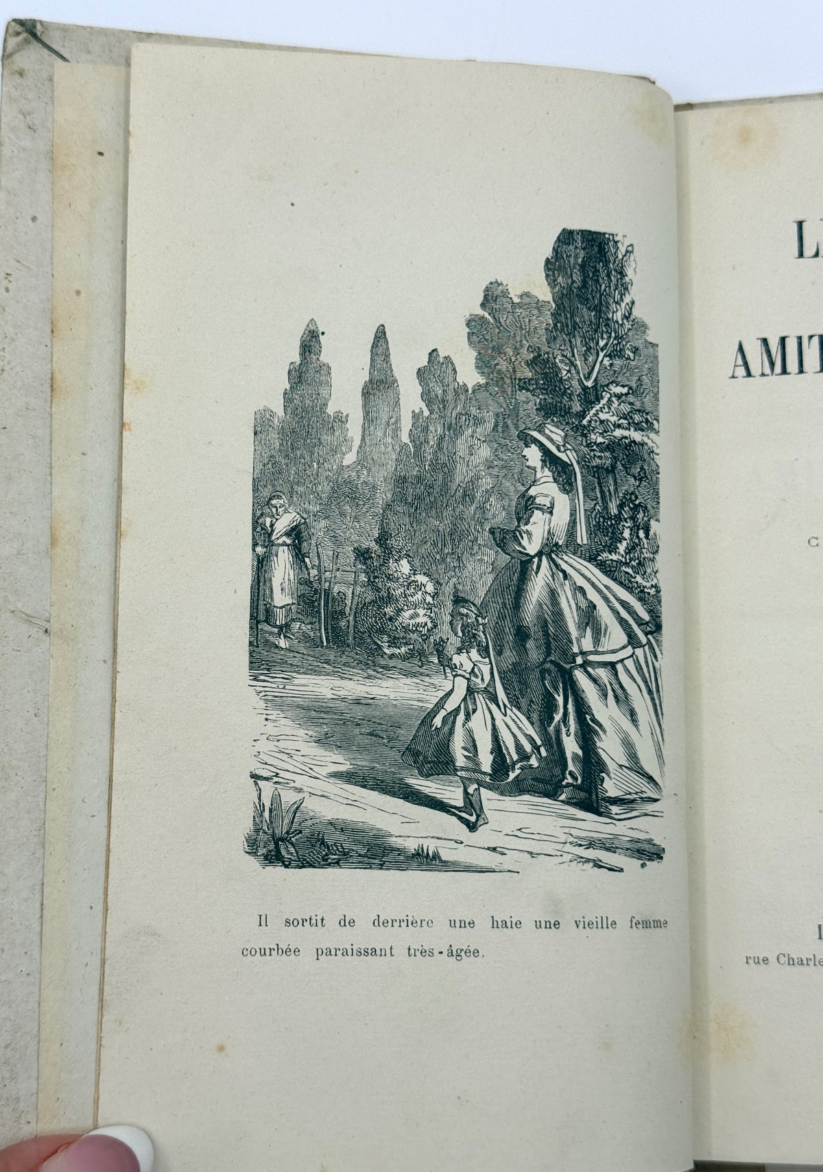 The Dangers of Deceptive Friendship, French Cartonnage Book