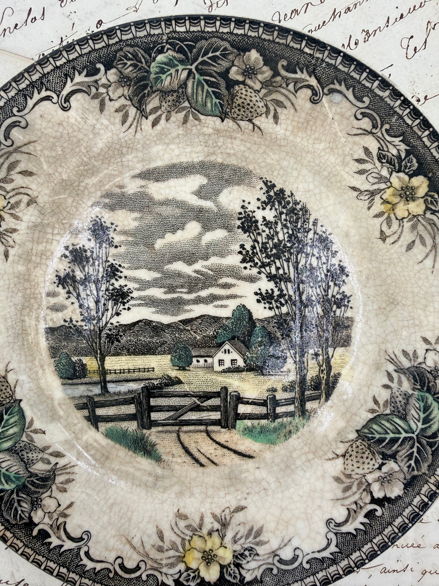 Vintage Meadow Country Plate, 6.35”
