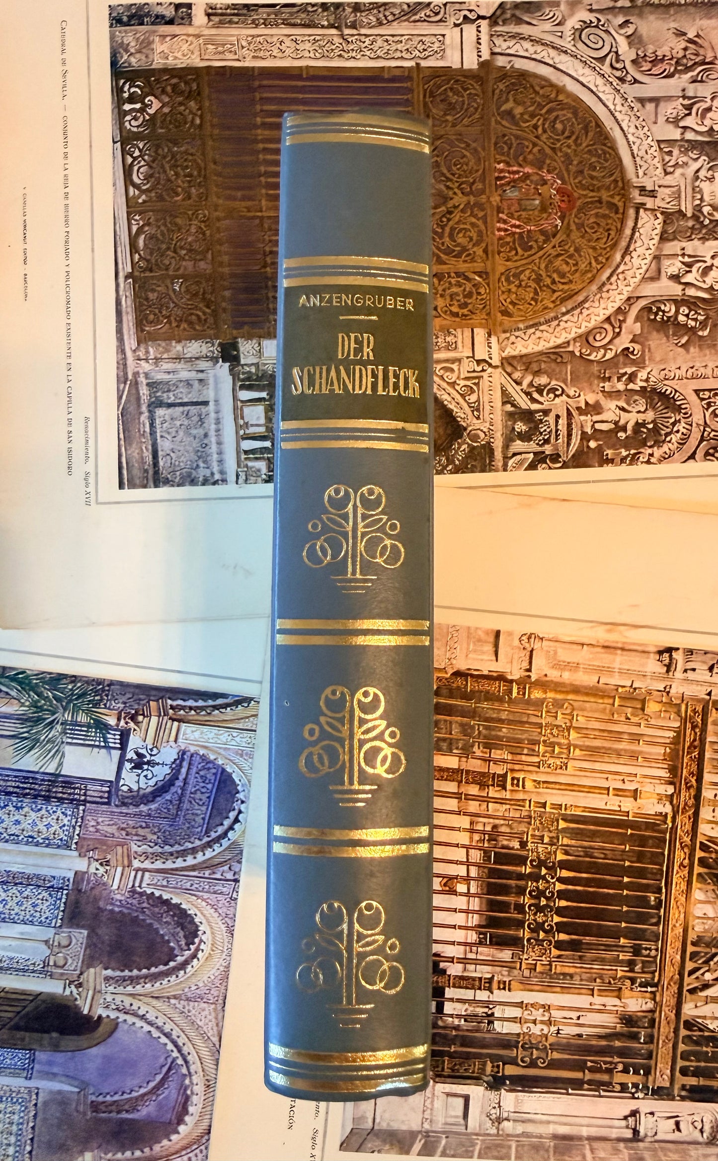 Vintage German Book, Der Schandfleck