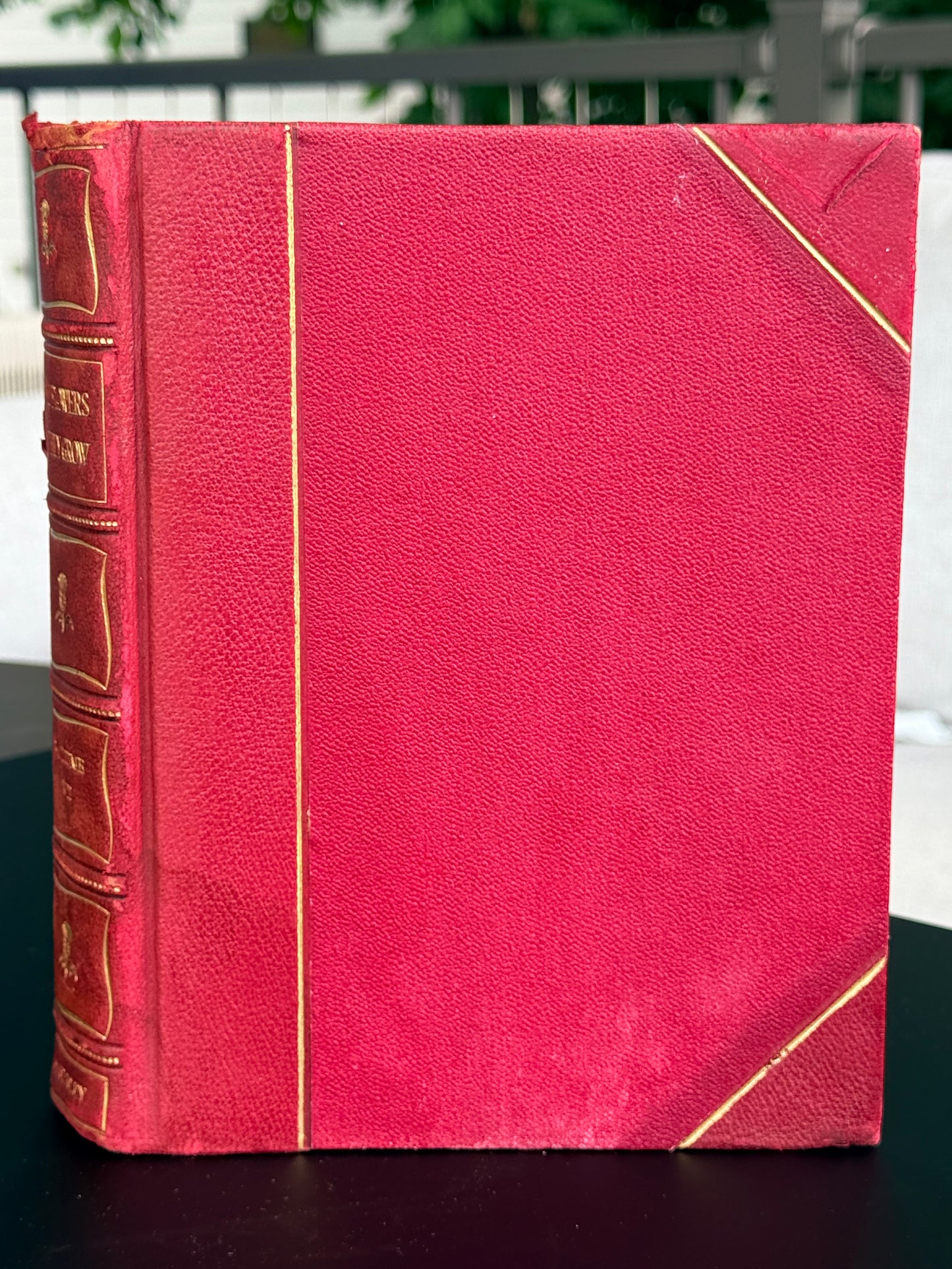 Wild Flowers as They Grow, Vol VII