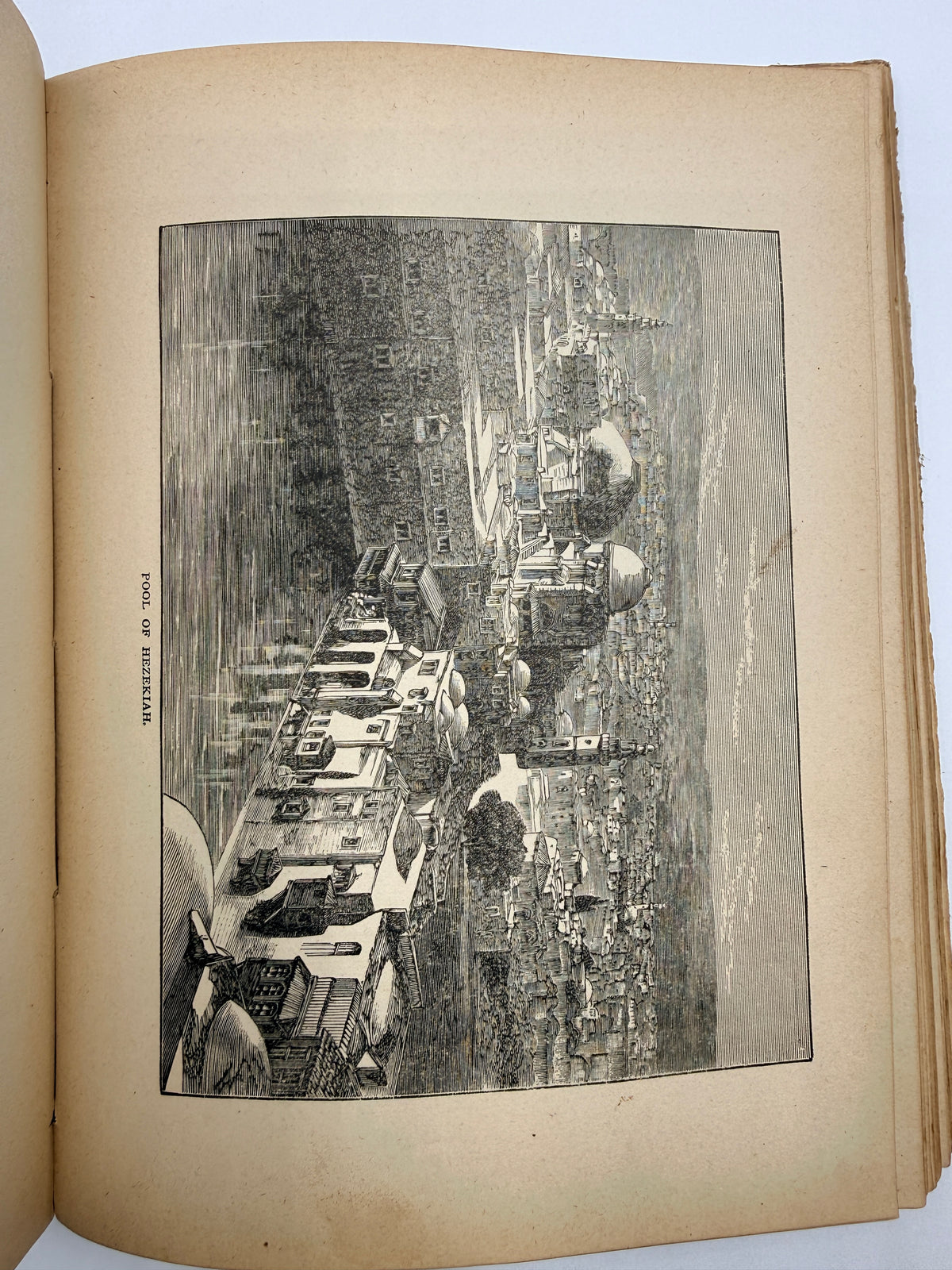Young Folks Travels: Asia & Africa, 1888