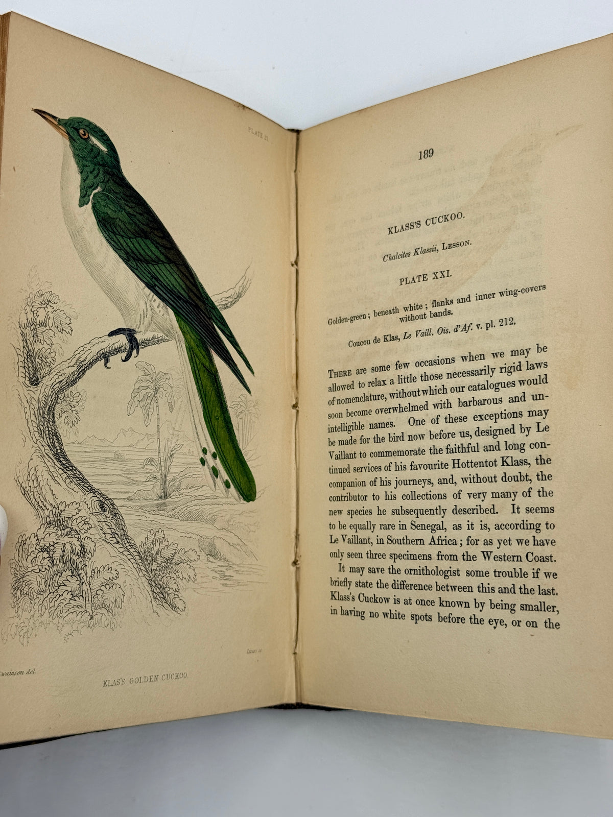 Ornithology: The Naturalist’s Library by Sir William Jardine, Vol 12, Birds of Western Africa