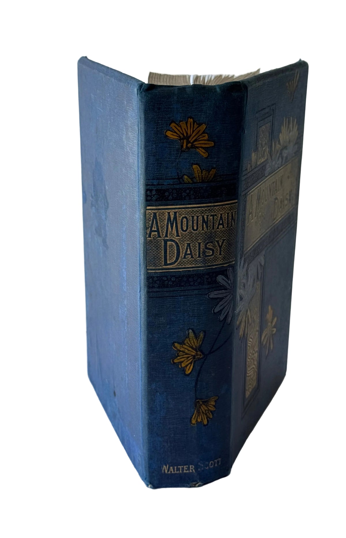 An antique hardcover book titled 'A Mountain Daisy' by Walter Scott, featuring a dark blue cloth spine with gold floral and decorative detailing, standing upright against a white paneled background.