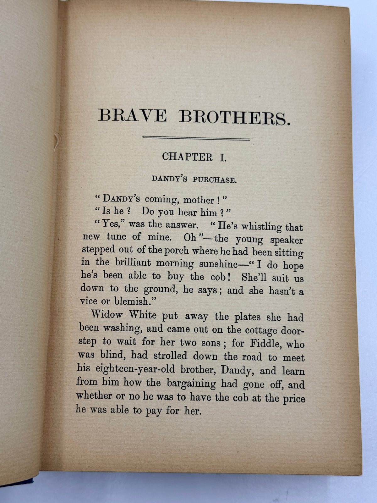 Brave Brothers by EM Stooke