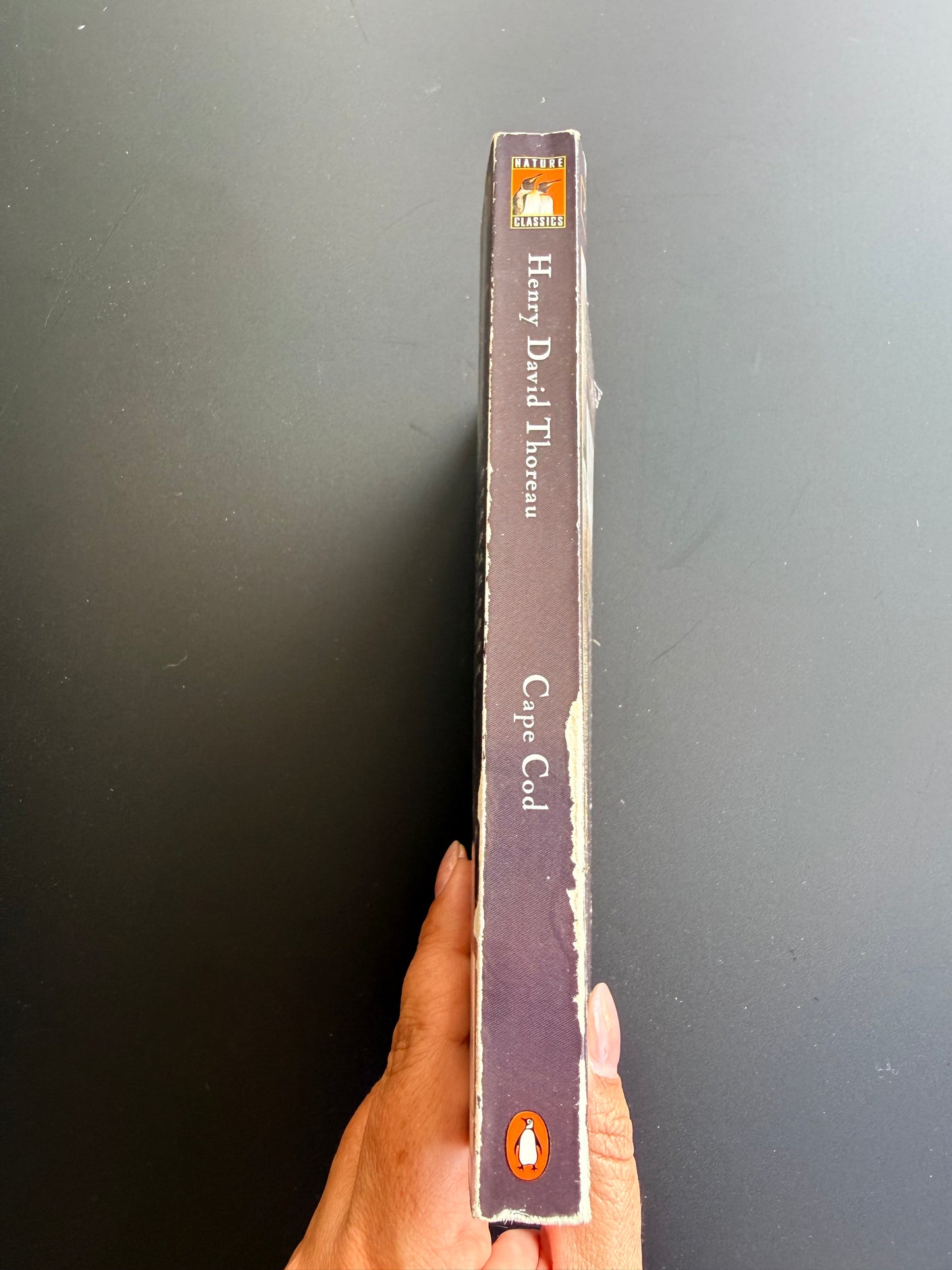 Cape Cod by Henry David Thoreau, 1987