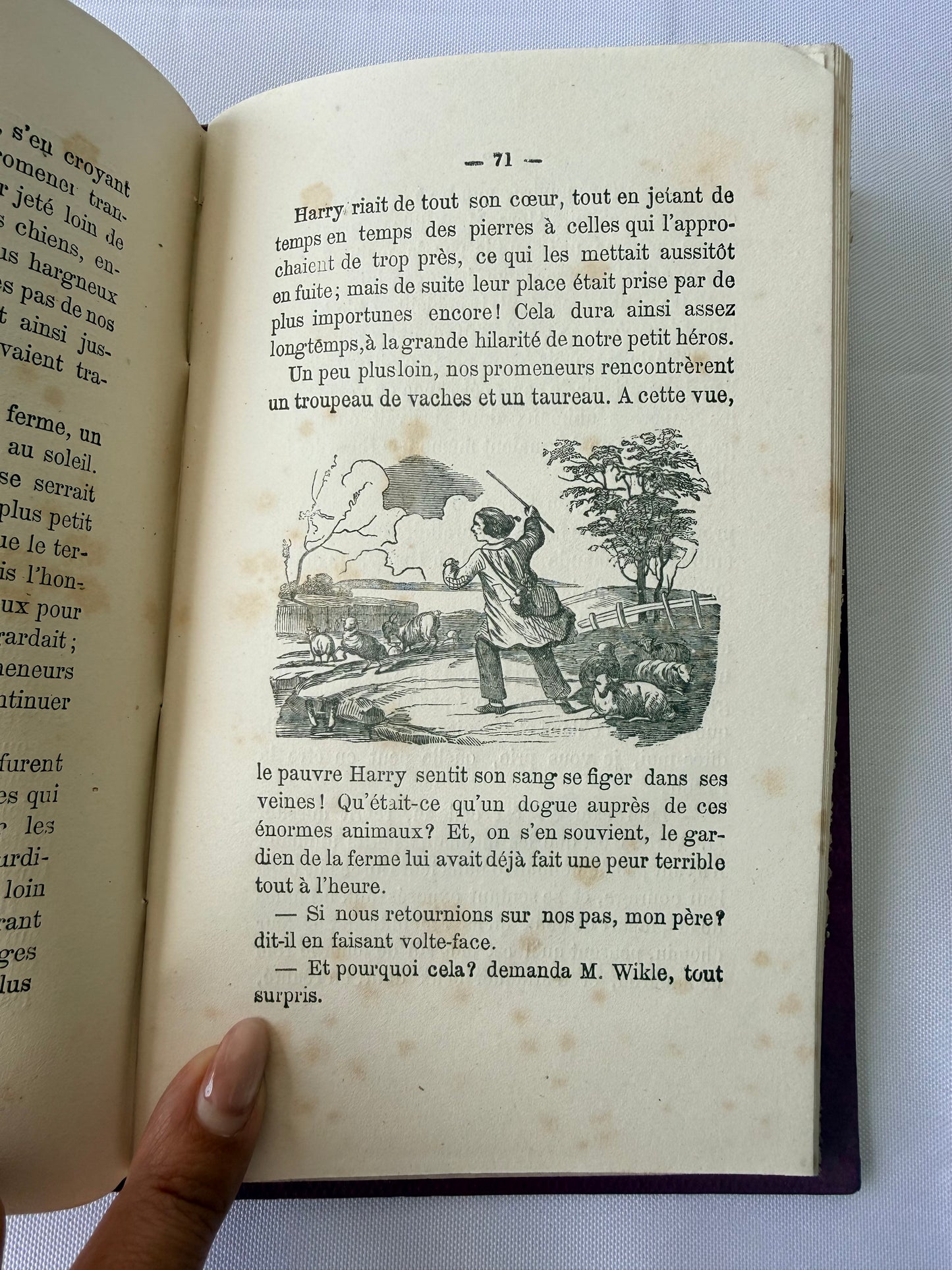 Purple French Cartonnage Book, Les Petits Savants
