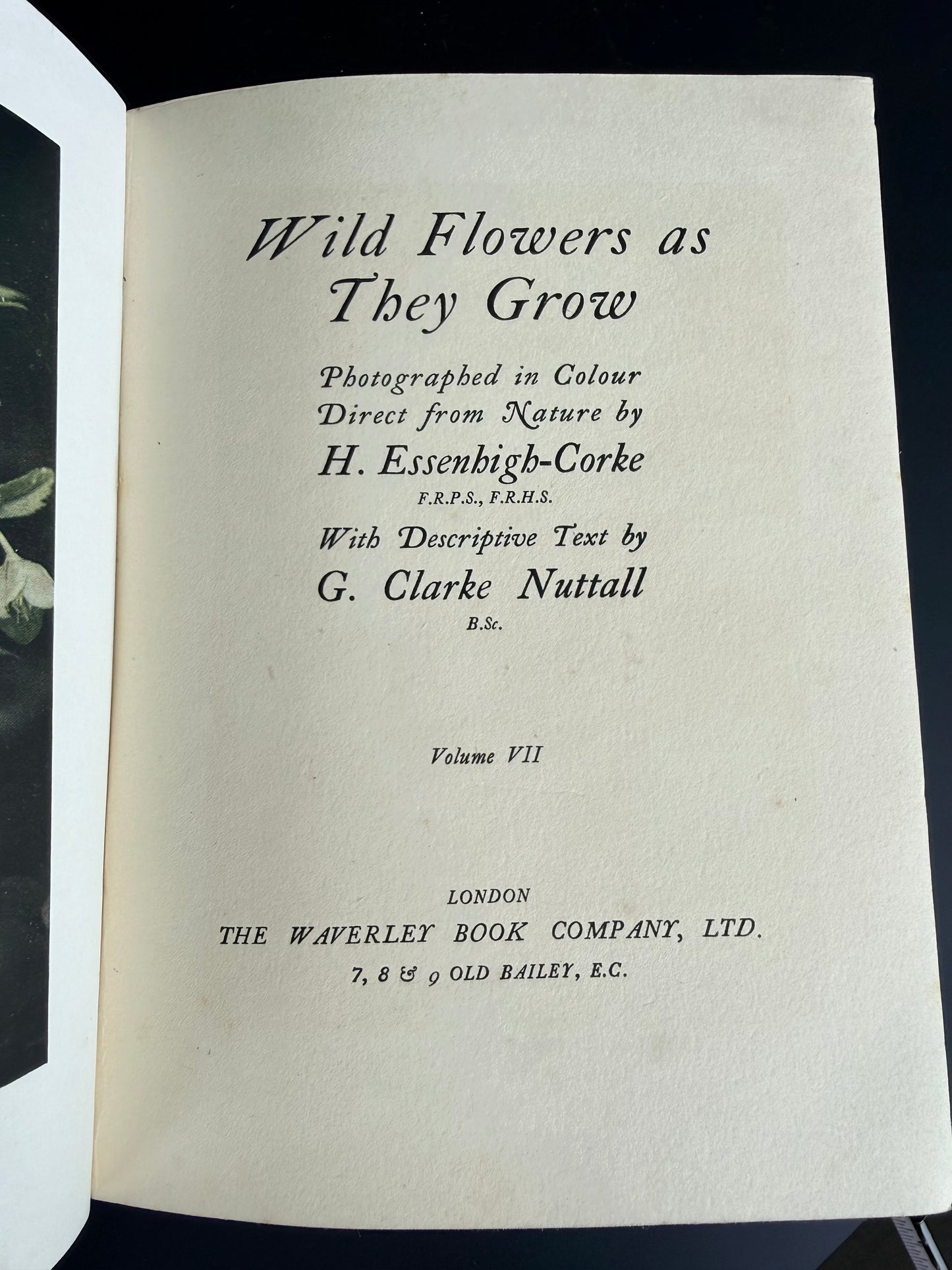 Wild Flowers as They Grow, Vol VII