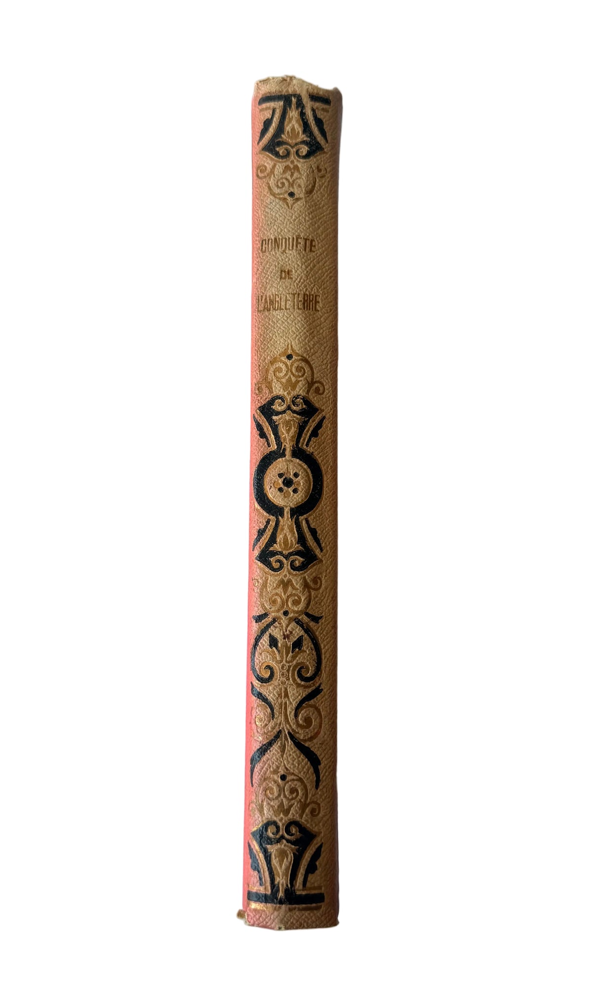A close-up of a vintage book's spine, featuring a tan cloth binding with ornate black and gold decorative patterns and gold lettering, set against a plain white fabric background.