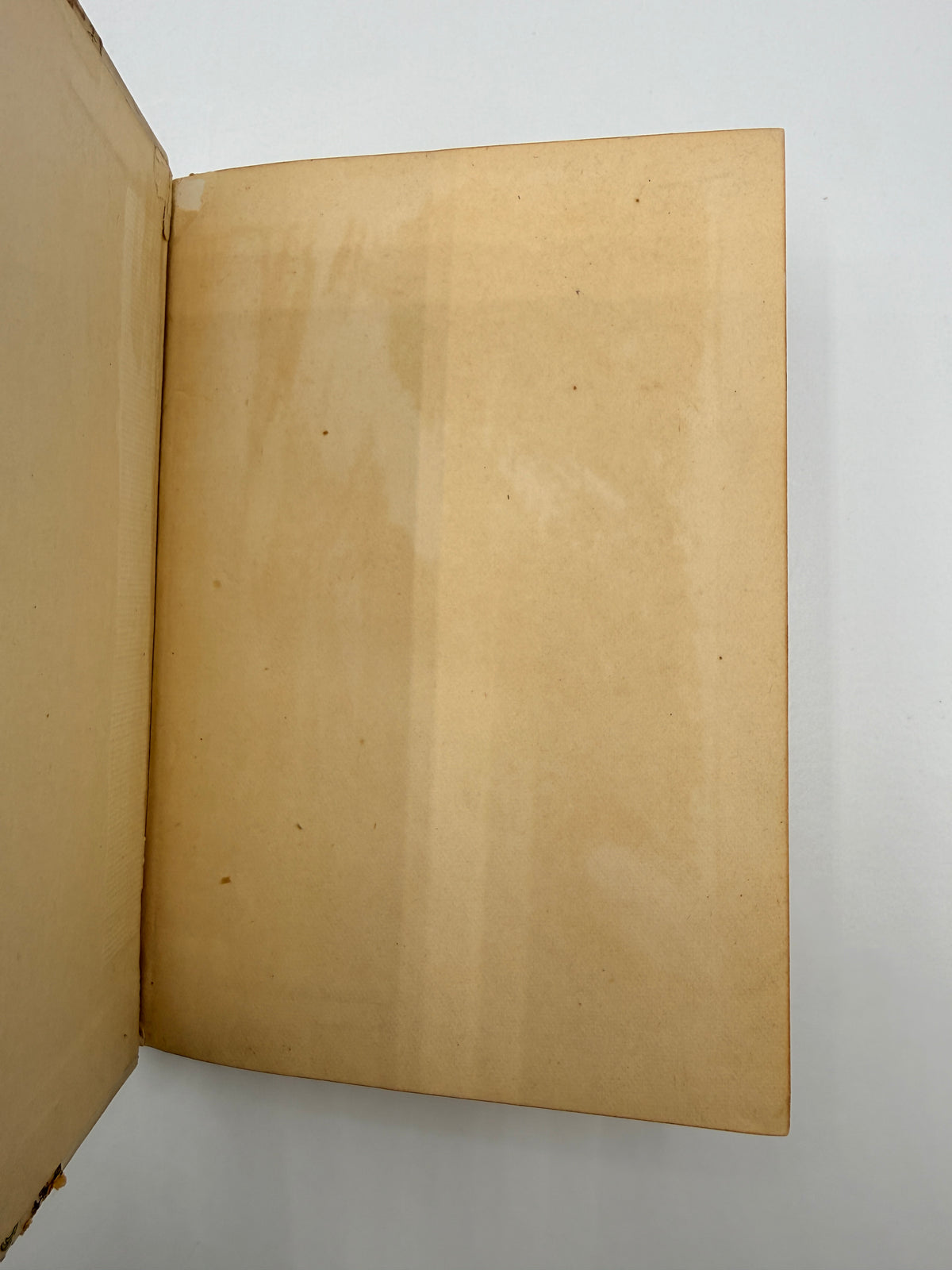 Sartor Resartus by Thomas Carlyle, 1891