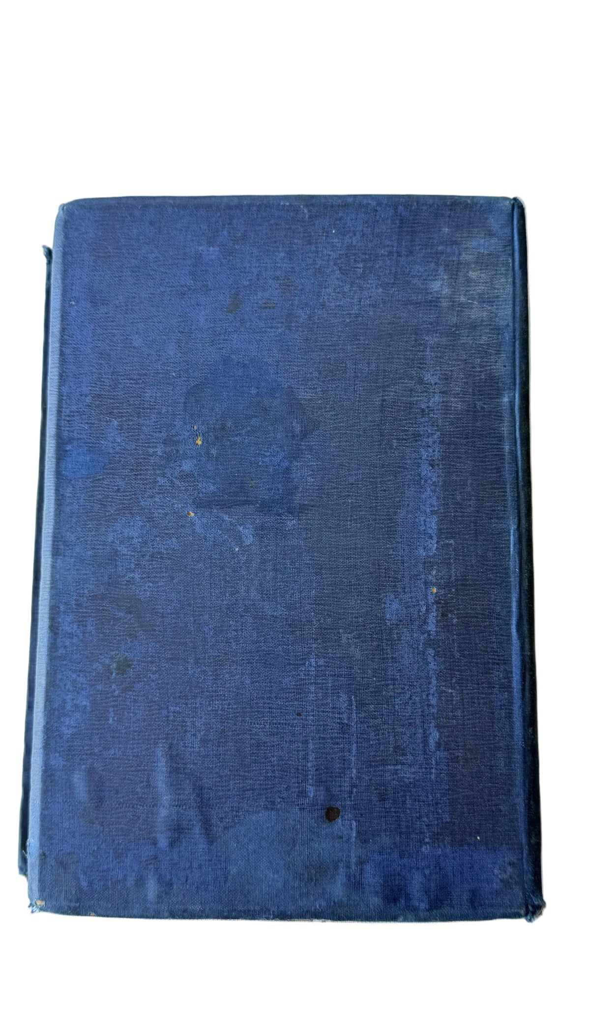 A Mountain Daisy, Decorative Antique Book DSM Vintage