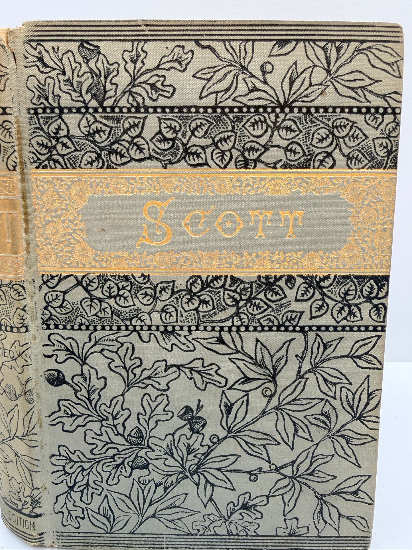 Sir Walter Scott’s Poetical Works, Lady of the Lake