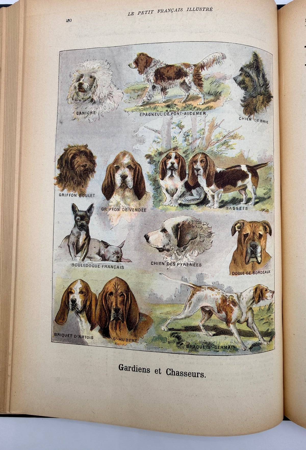 Les Petit Francais Illustraé Journal, 1902, Antique French Journal Collection