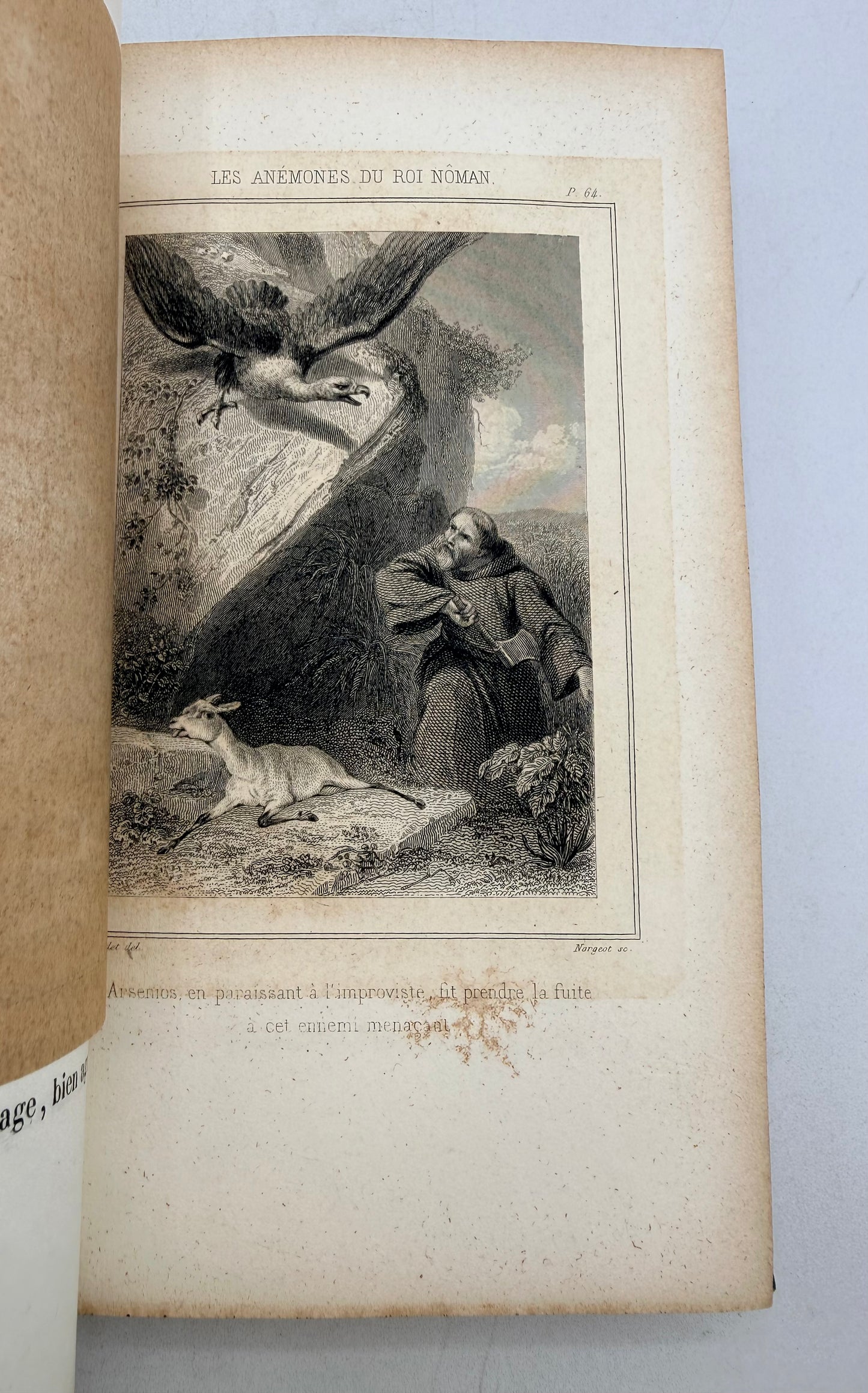 The Years of King Noman, French Cartonnage, 1860