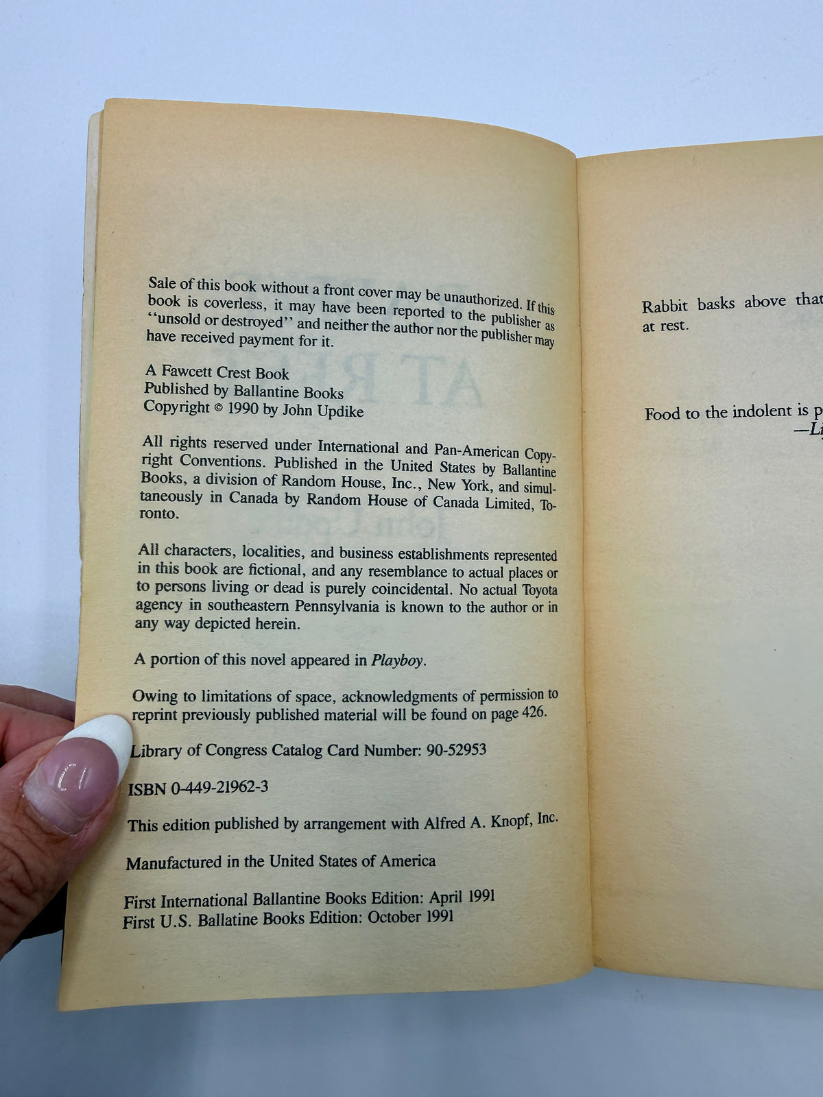 Rabbit at Rest by John Updike