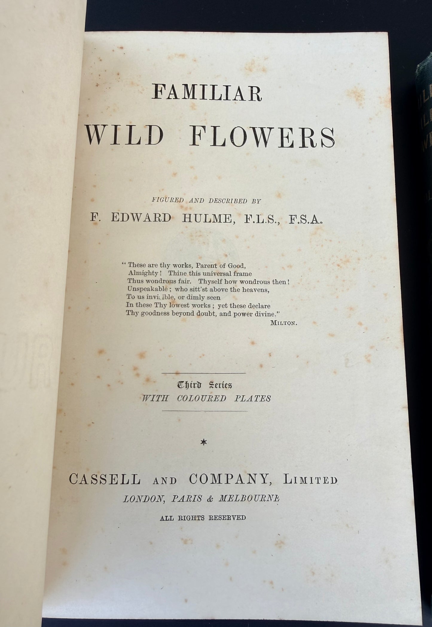 Familiar Wild Flowers, F Edward Hulme