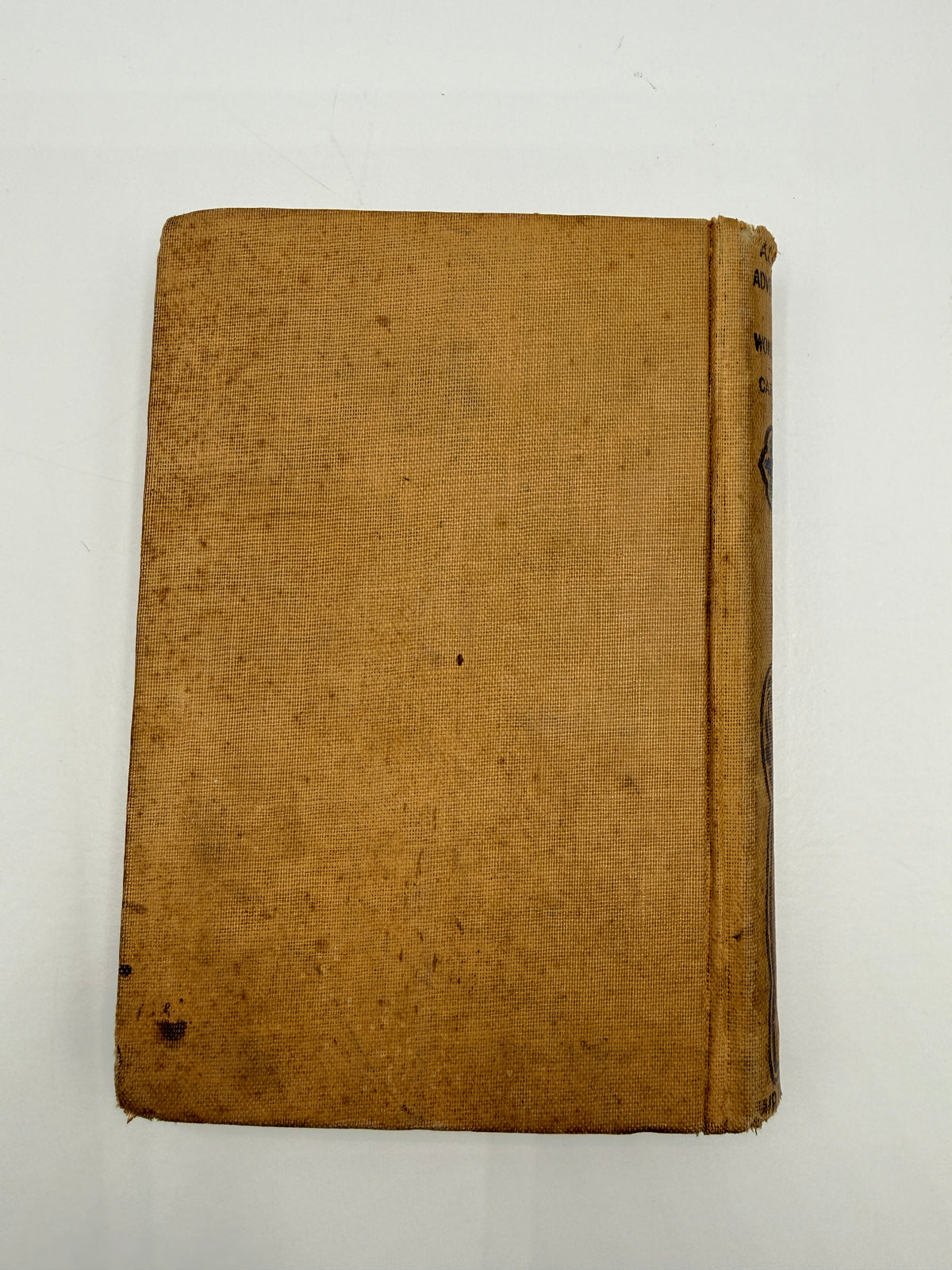 Alice’s Adventures in Wonderland by Lewis Carroll, ~1900