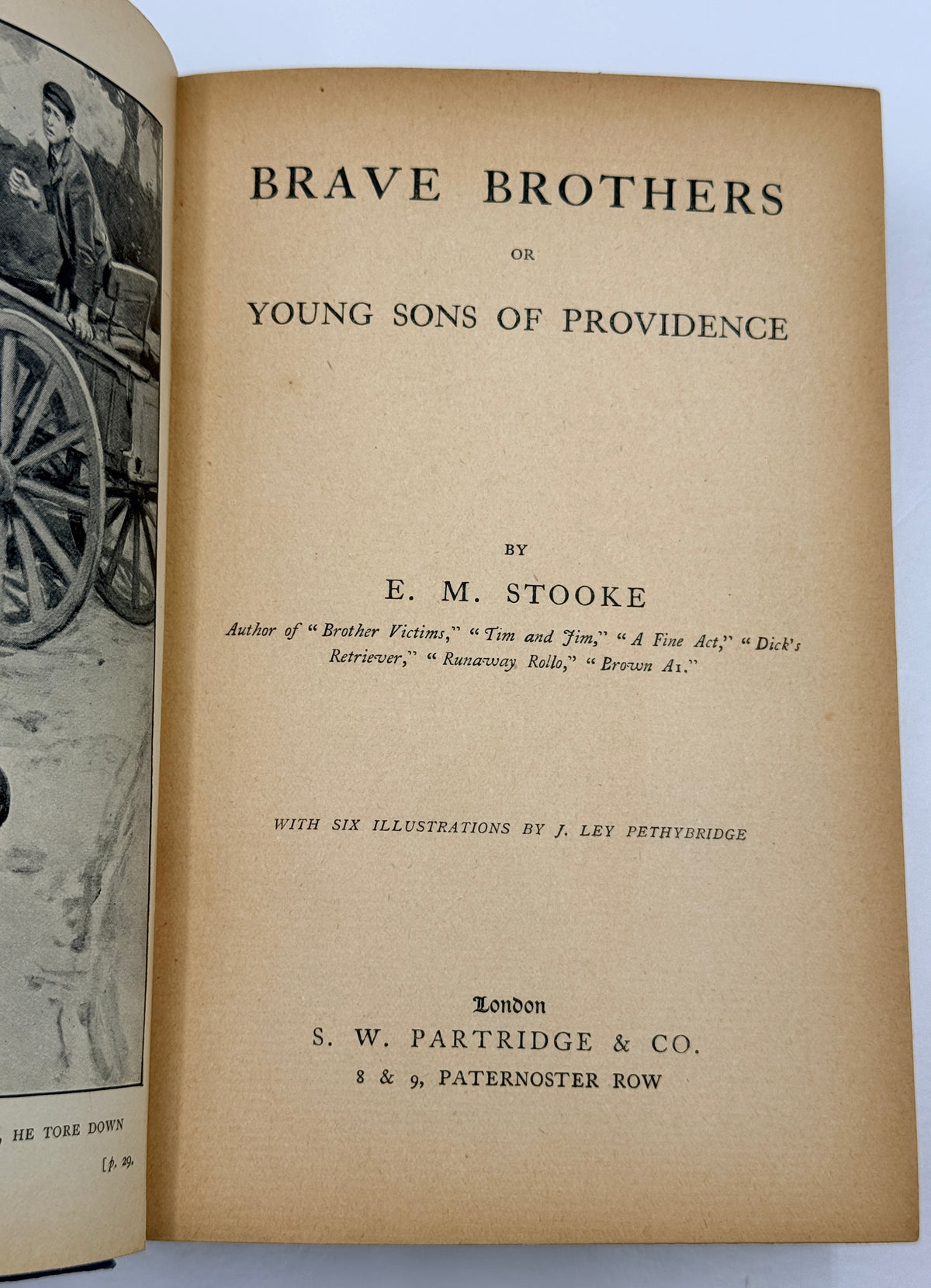 Brave Brothers by EM Stooke