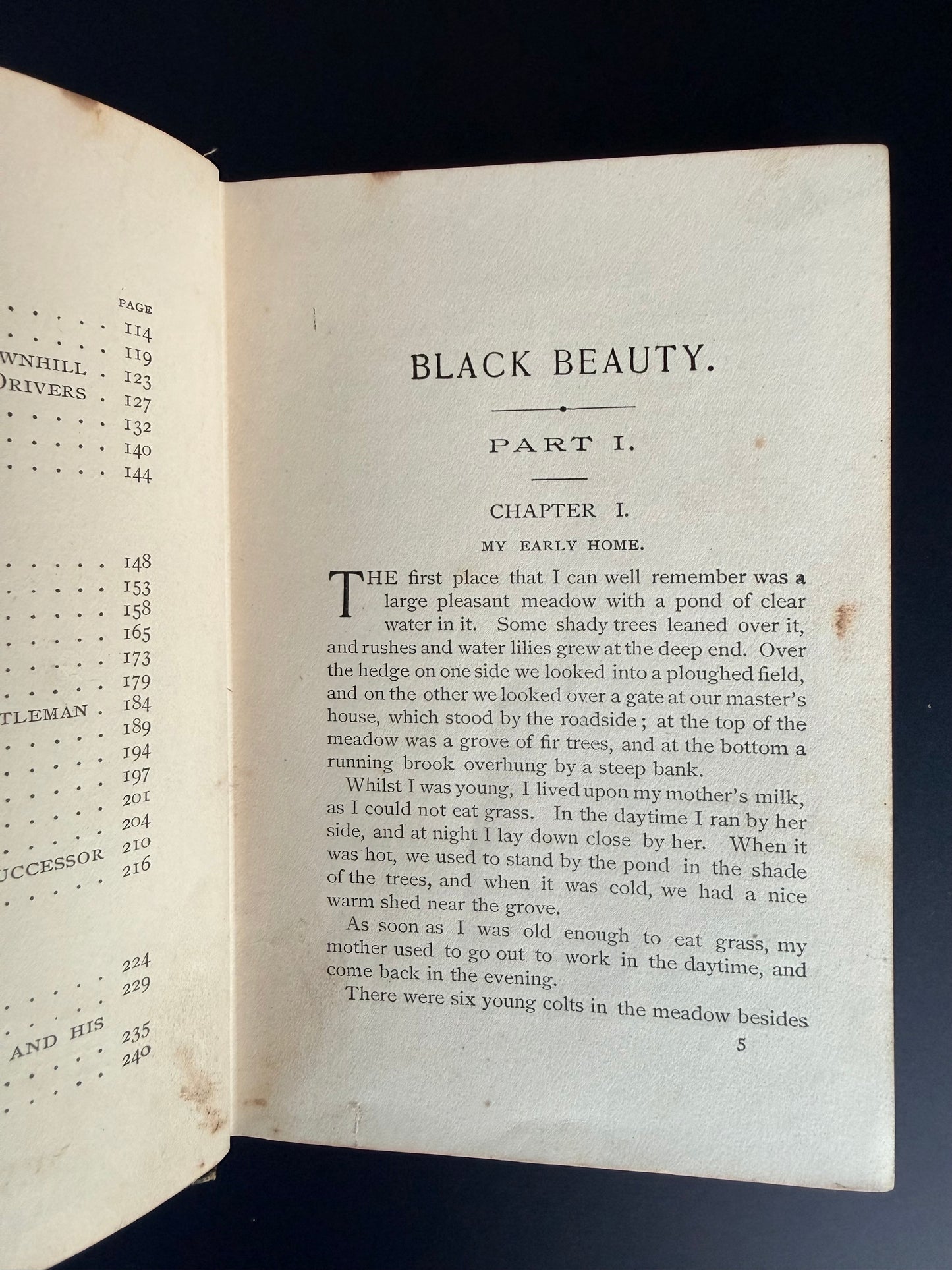 Black Beauty by Sewell with Art Nouveau Cover, 1900